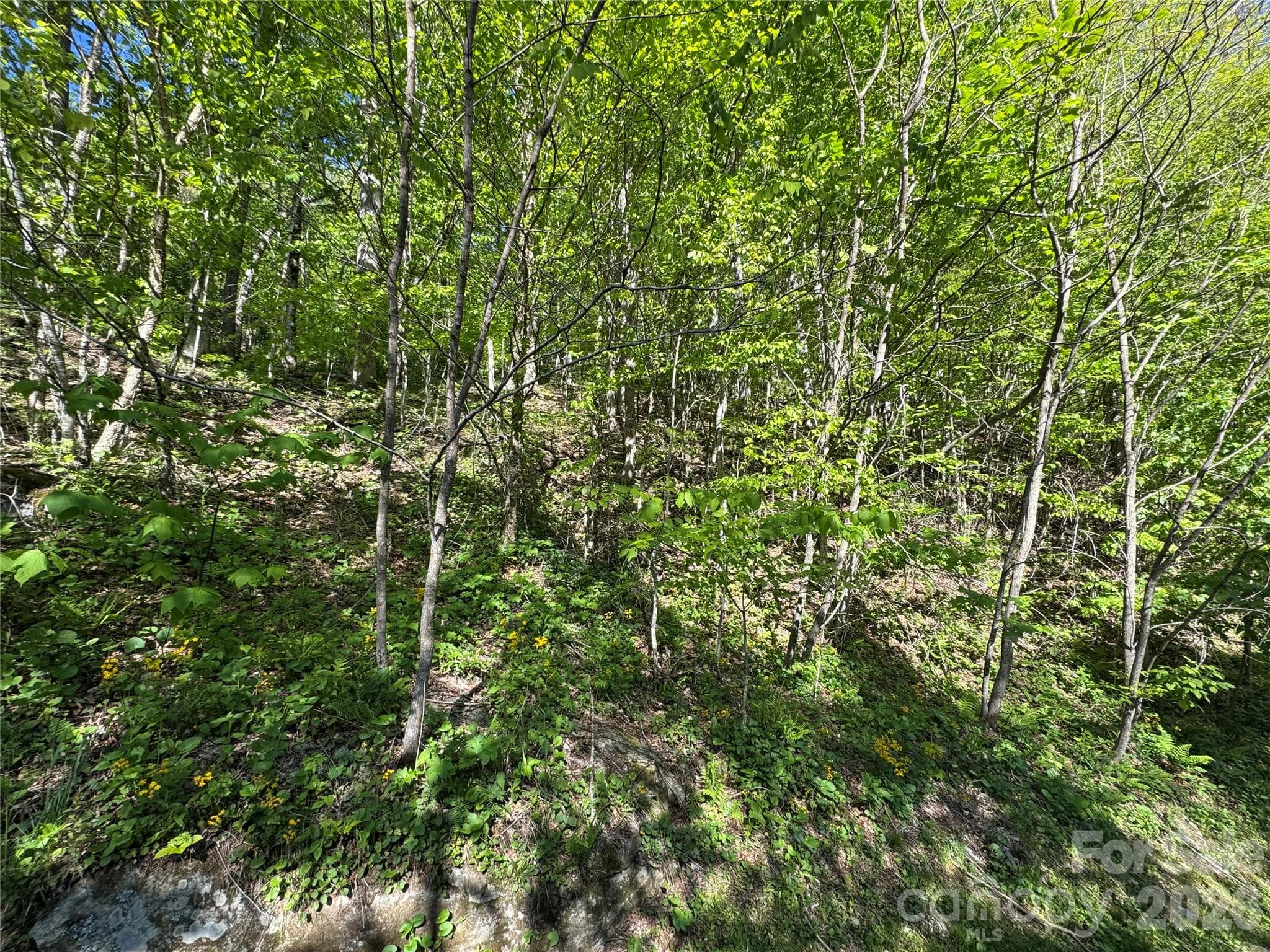 Double Lot - Mars Hill