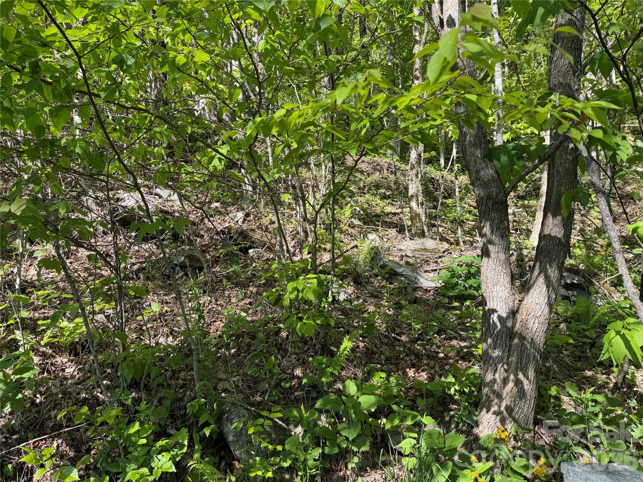 Double Lot - 21 Overlook Drive, Mars Hill