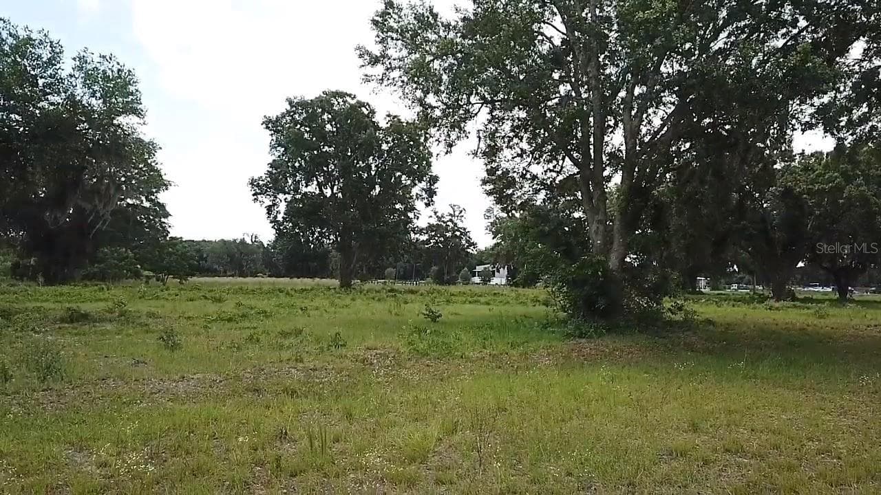Land at 1020 DUCK BOX RD, UMATILLA, photo 10 of 13