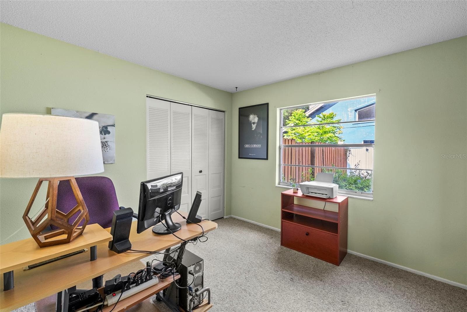 Third bedroom or home office with backyard-facing window. - 8601 TWIN FARMS PL, TAMPA