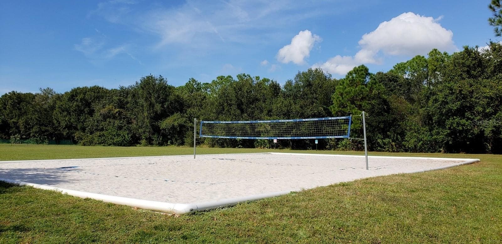 Sand volleyball court for outdoor fun and recreation. - 8601 TWIN FARMS PL, TAMPA