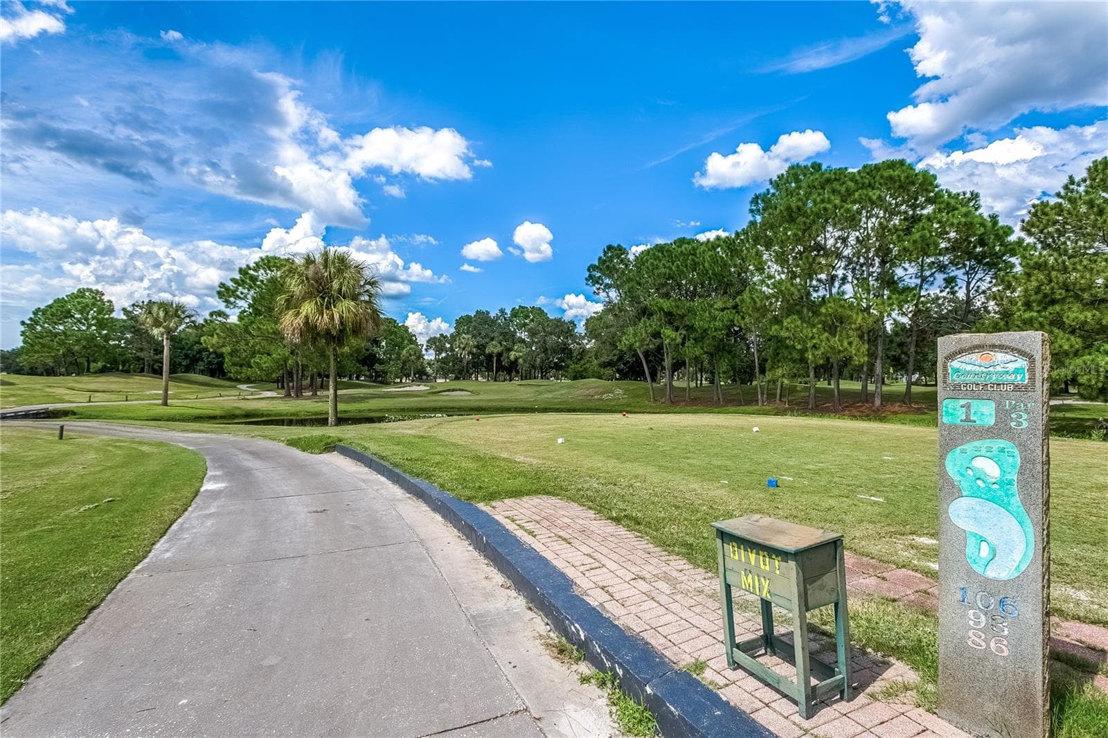 Countryway Golf Course offering an executive 18 whole course - 8601 TWIN FARMS PL, TAMPA