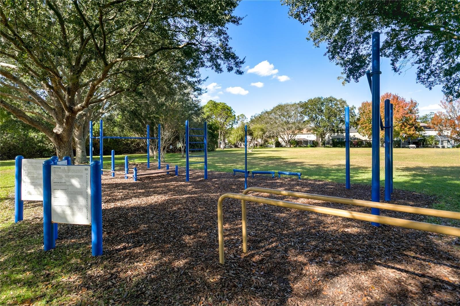 Outdoor fitness/play area shaded by mature trees. - 8601 TWIN FARMS PL, TAMPA