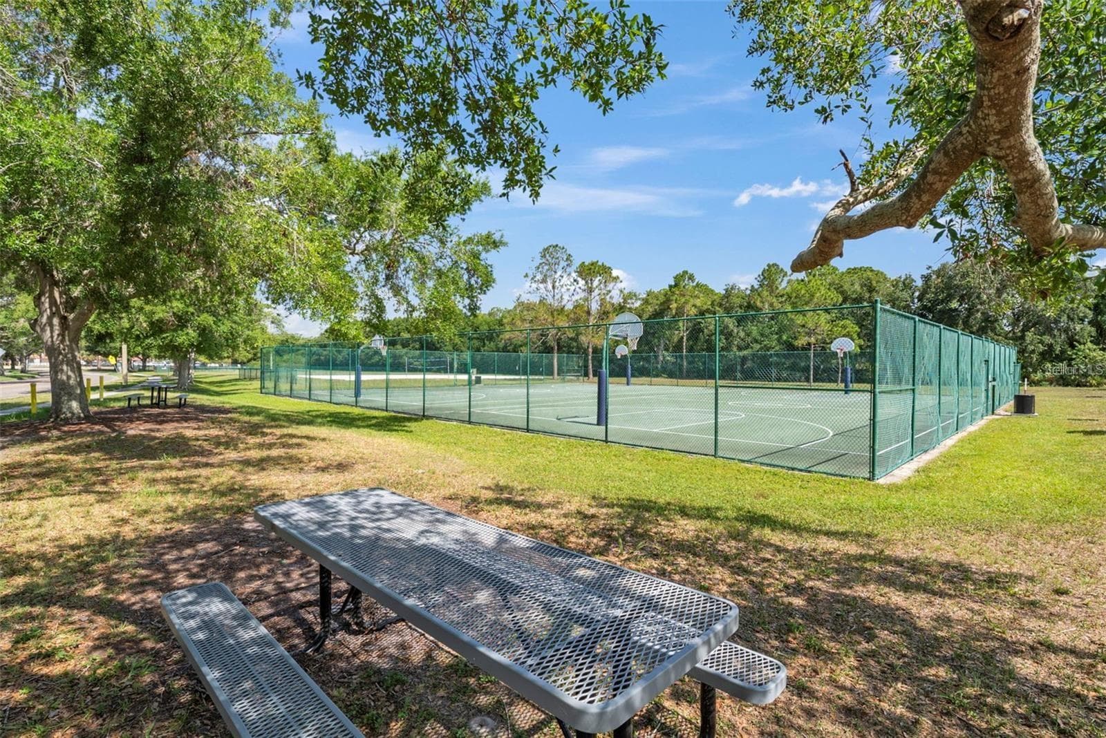 Tennis courts with picnic seating and shaded green space nearby. - 8601 TWIN FARMS PL, TAMPA