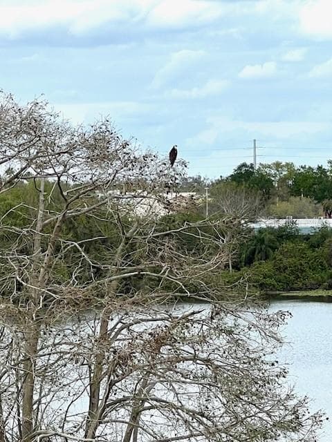 Osprey & Purple Martins abound - 700 MIRROR TER NW #507, WINTER HAVEN
