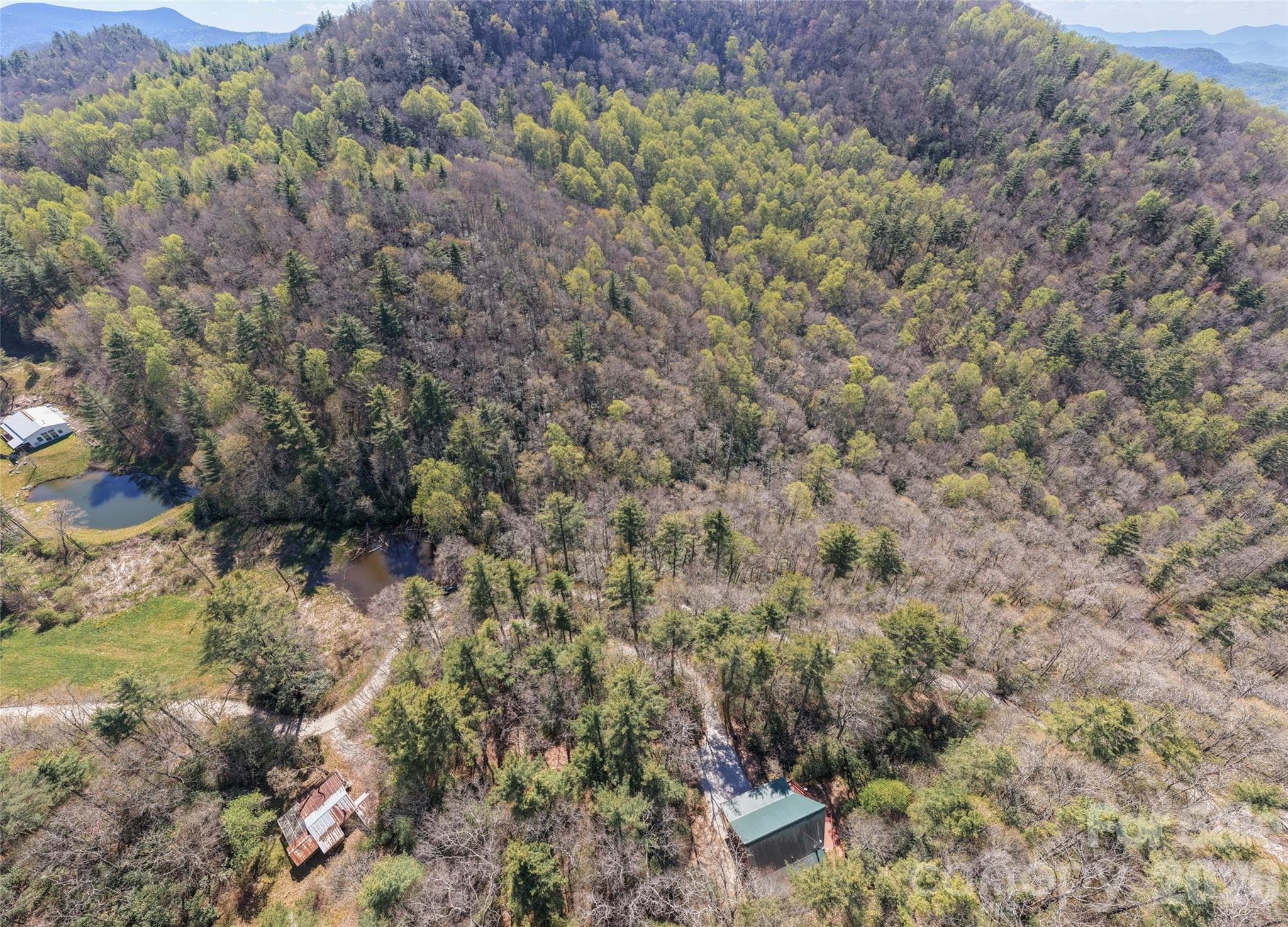 Acreage at 4419 Flat Mountain Road, Highlands, photo 10 of 17