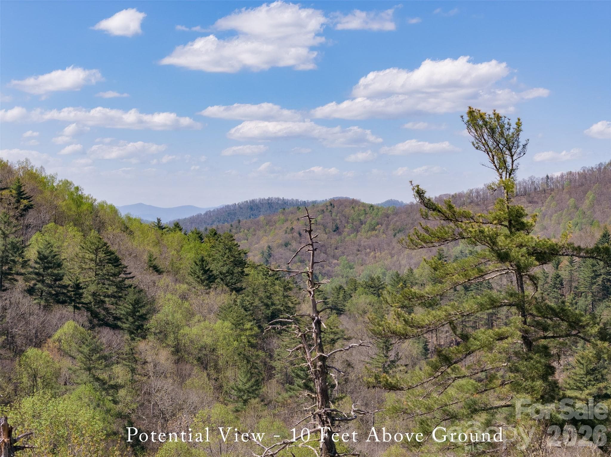 Acreage at 4419 Flat Mountain Road, Highlands, photo 13 of 17