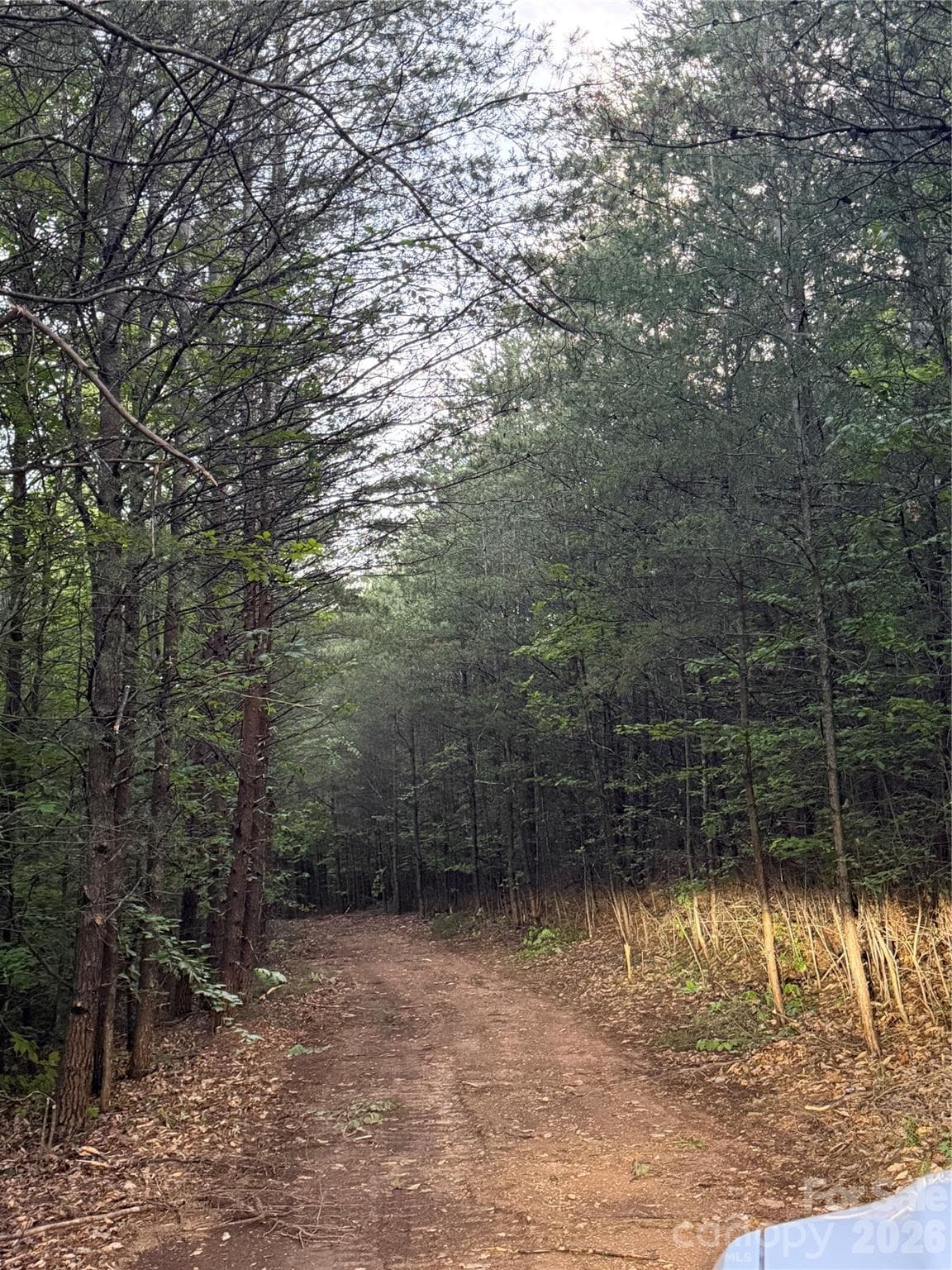 Acreage at Tract 2 Hill Road, Marion, photo 8 of 9