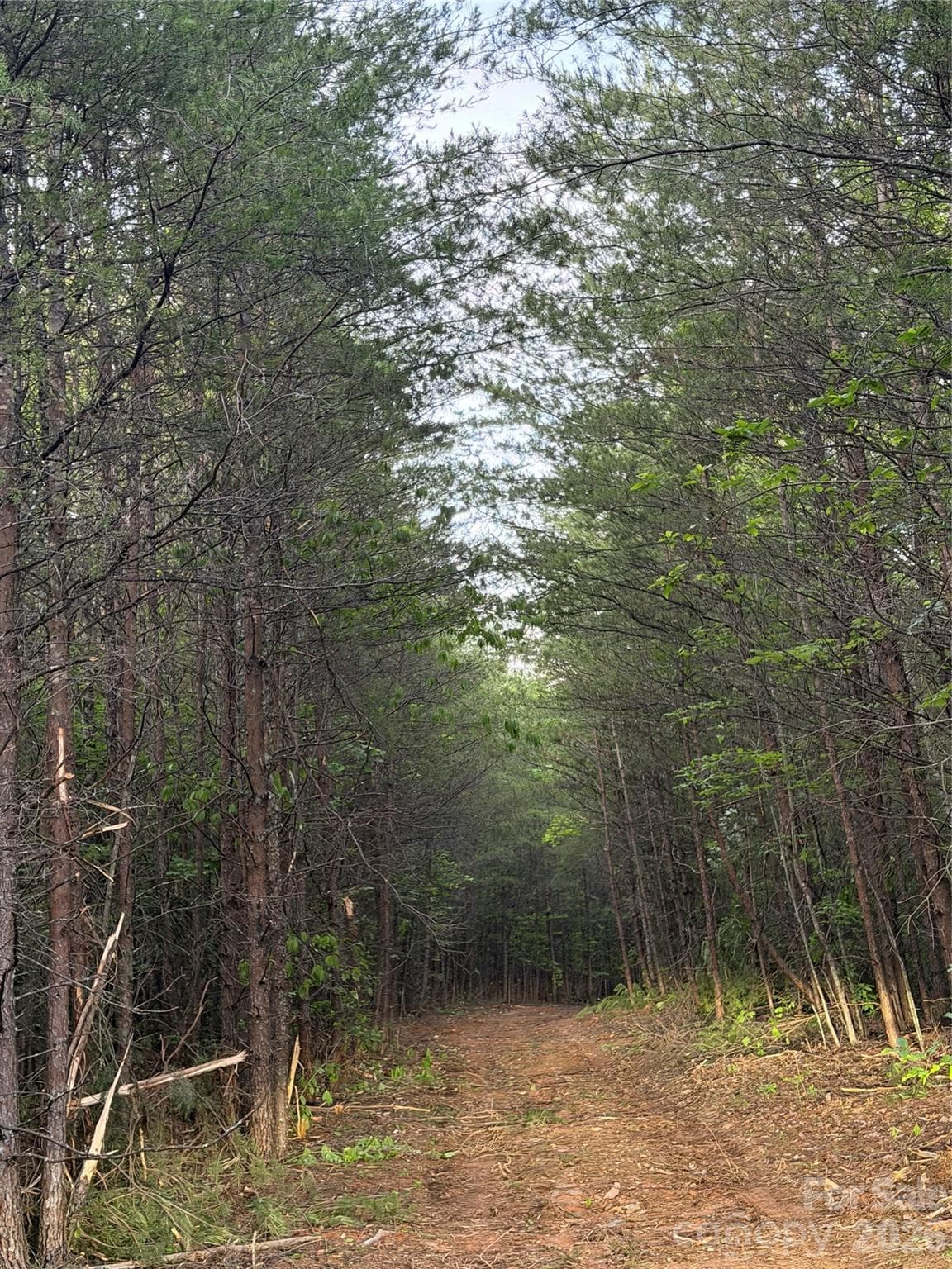 Acreage at Tract 3 Hill Road, Marion, photo 7 of 9