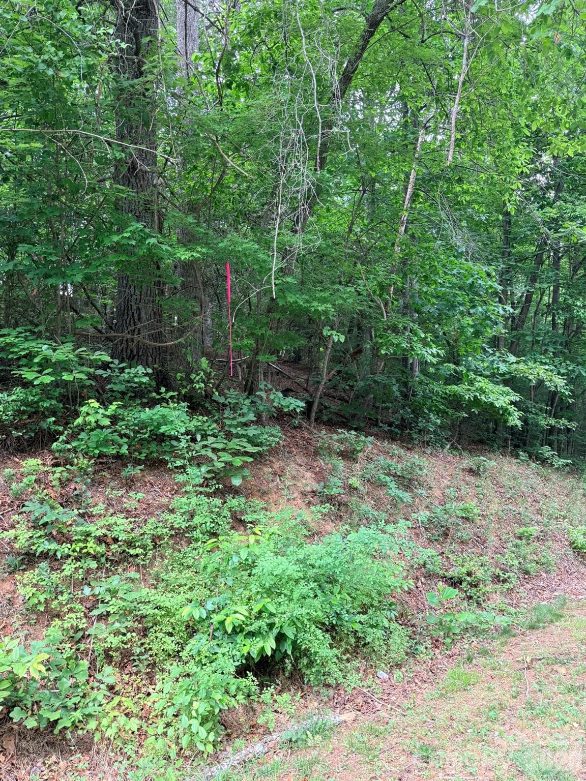 TBD N Marley Ford Road