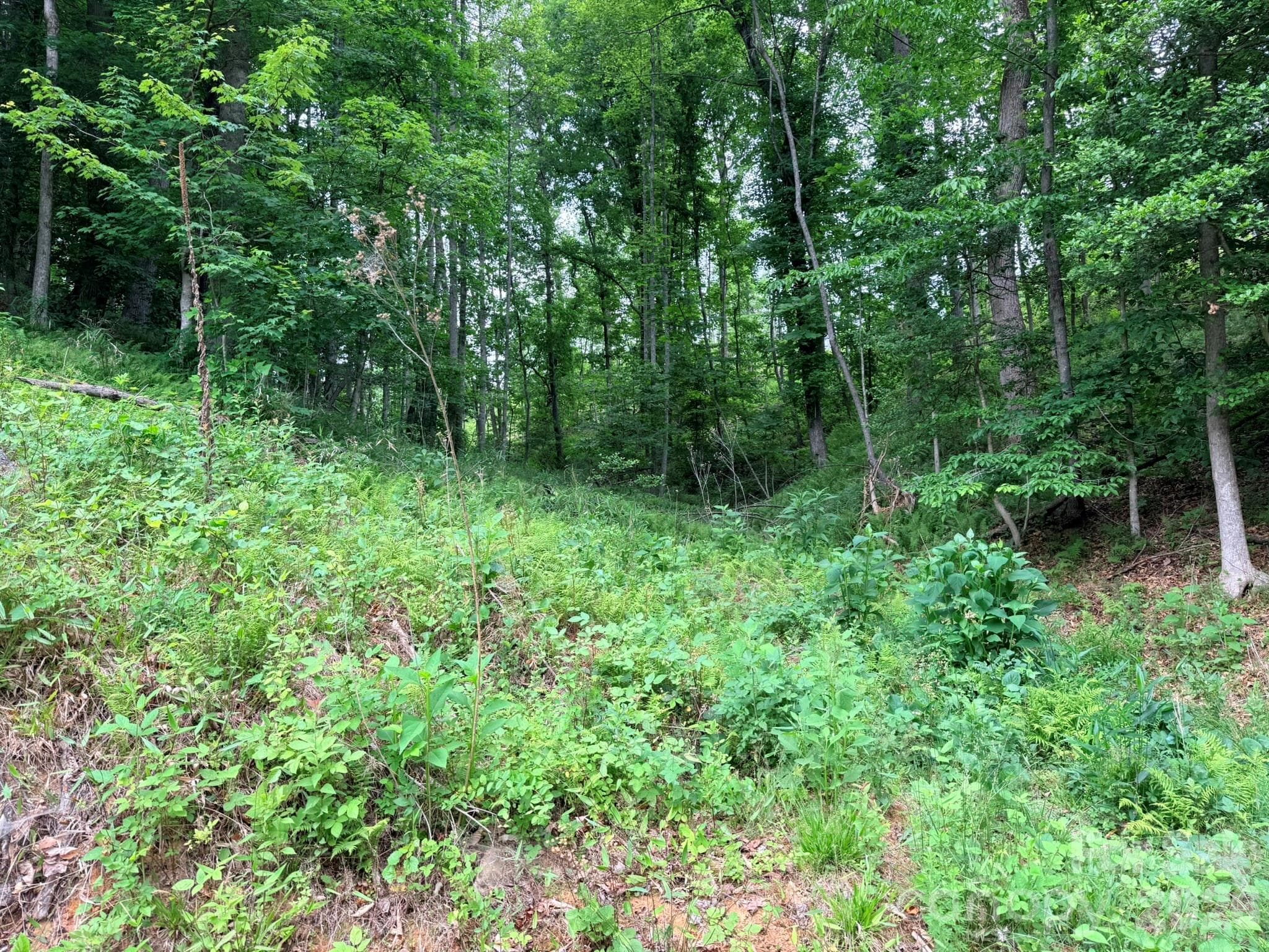 Acreage at TBD N Marley Ford Road, Ferguson, photo 2 of 26