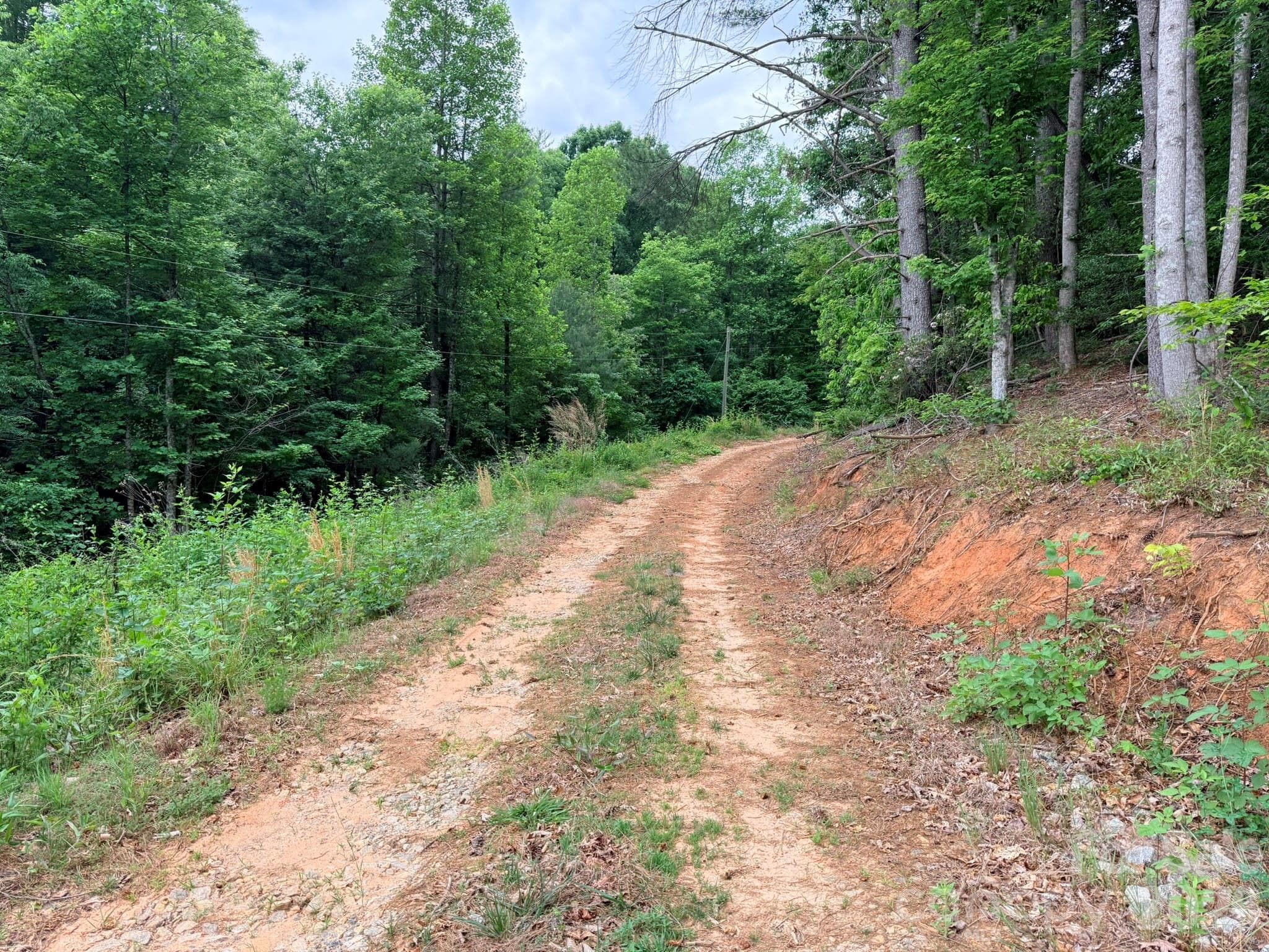Acreage at TBD N Marley Ford Road, Ferguson, photo 3 of 26