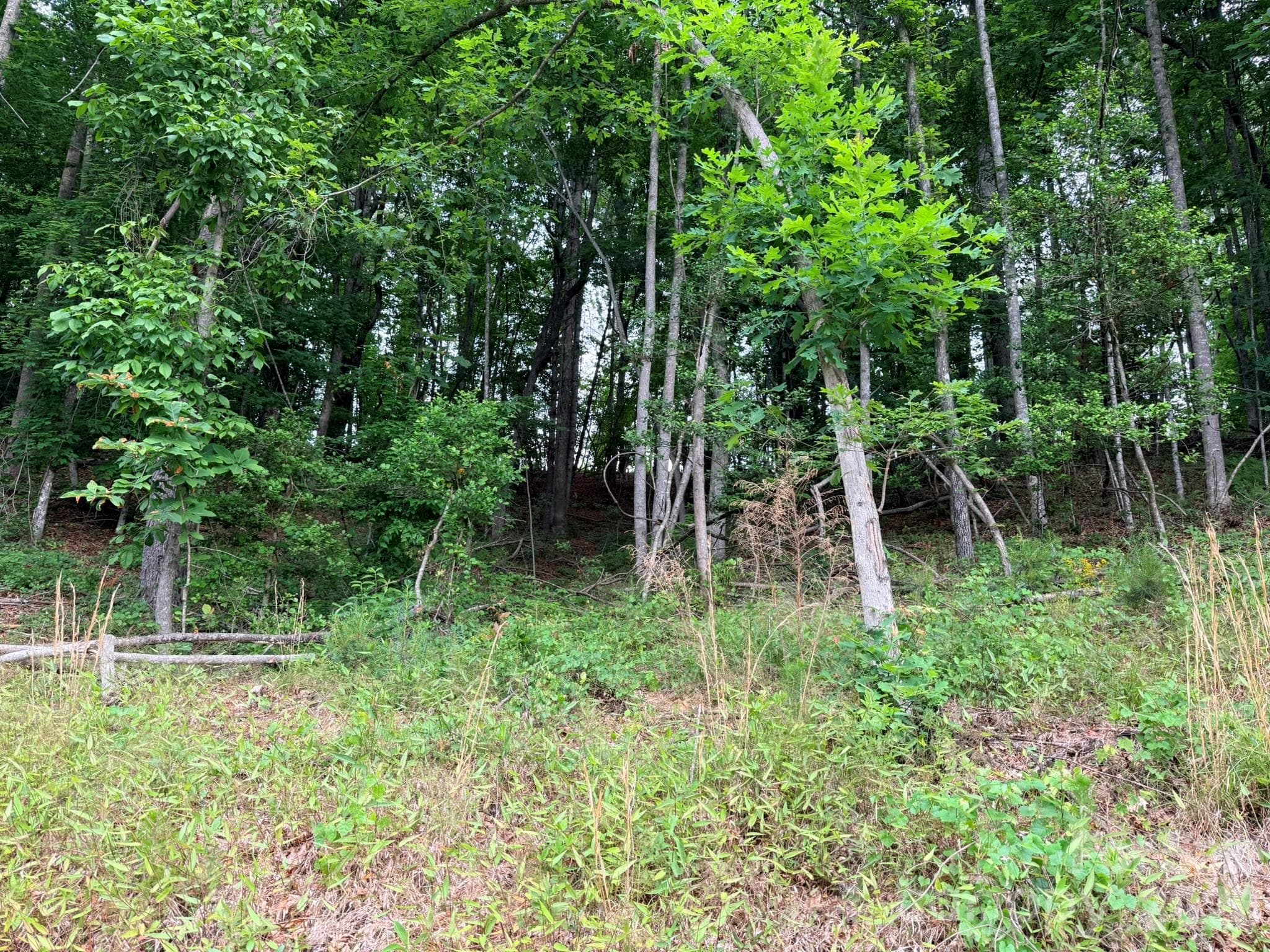 Acreage at TBD N Marley Ford Road, Ferguson, photo 4 of 26