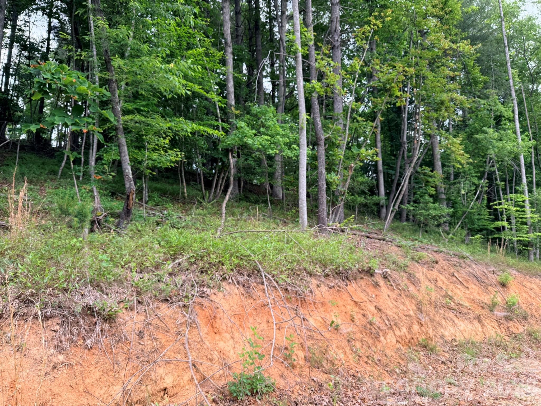 Acreage at TBD N Marley Ford Road, Ferguson, photo 5 of 26