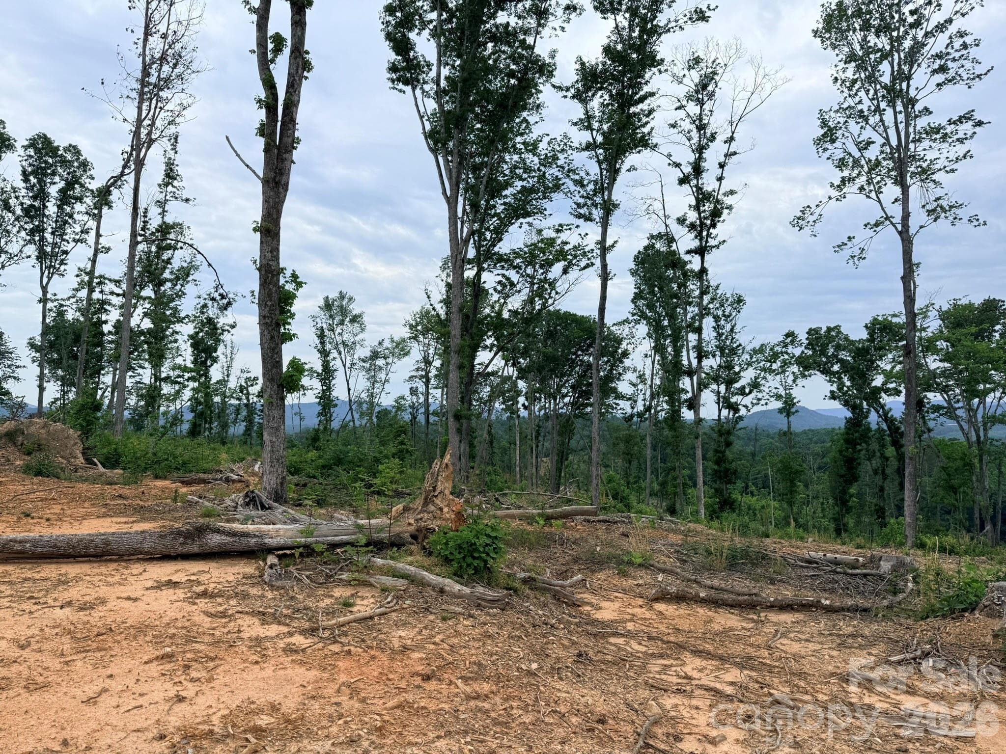 Acreage at TBD N Marley Ford Road, Ferguson, photo 8 of 26