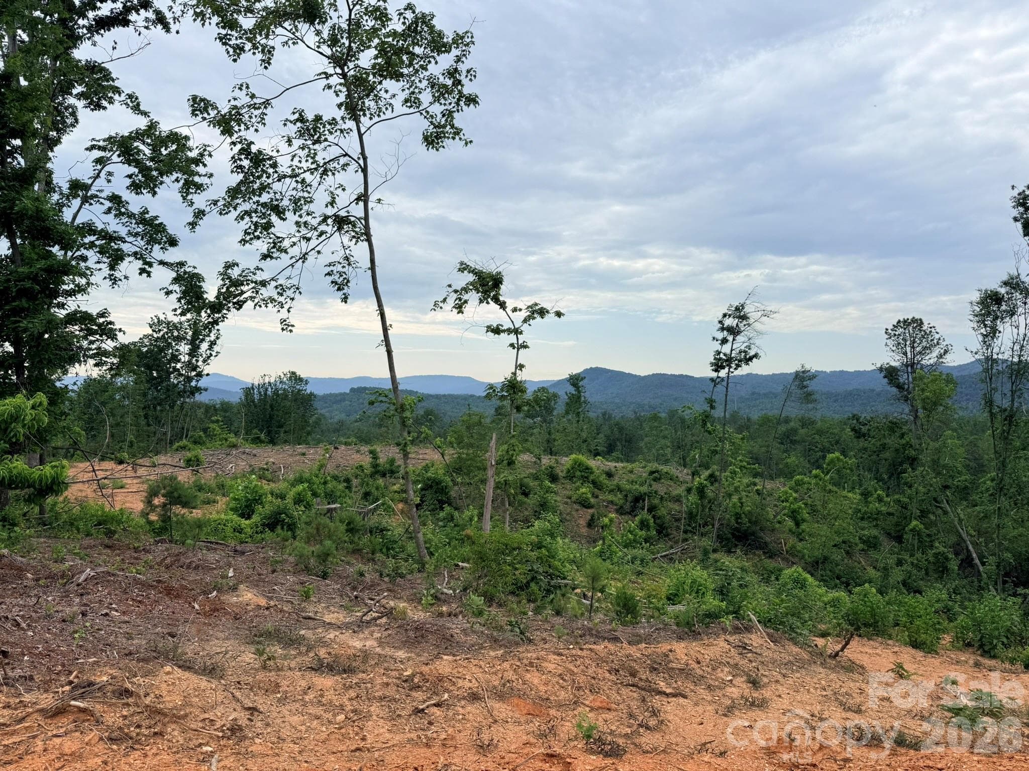 Acreage at TBD N Marley Ford Road, Ferguson, photo 11 of 26