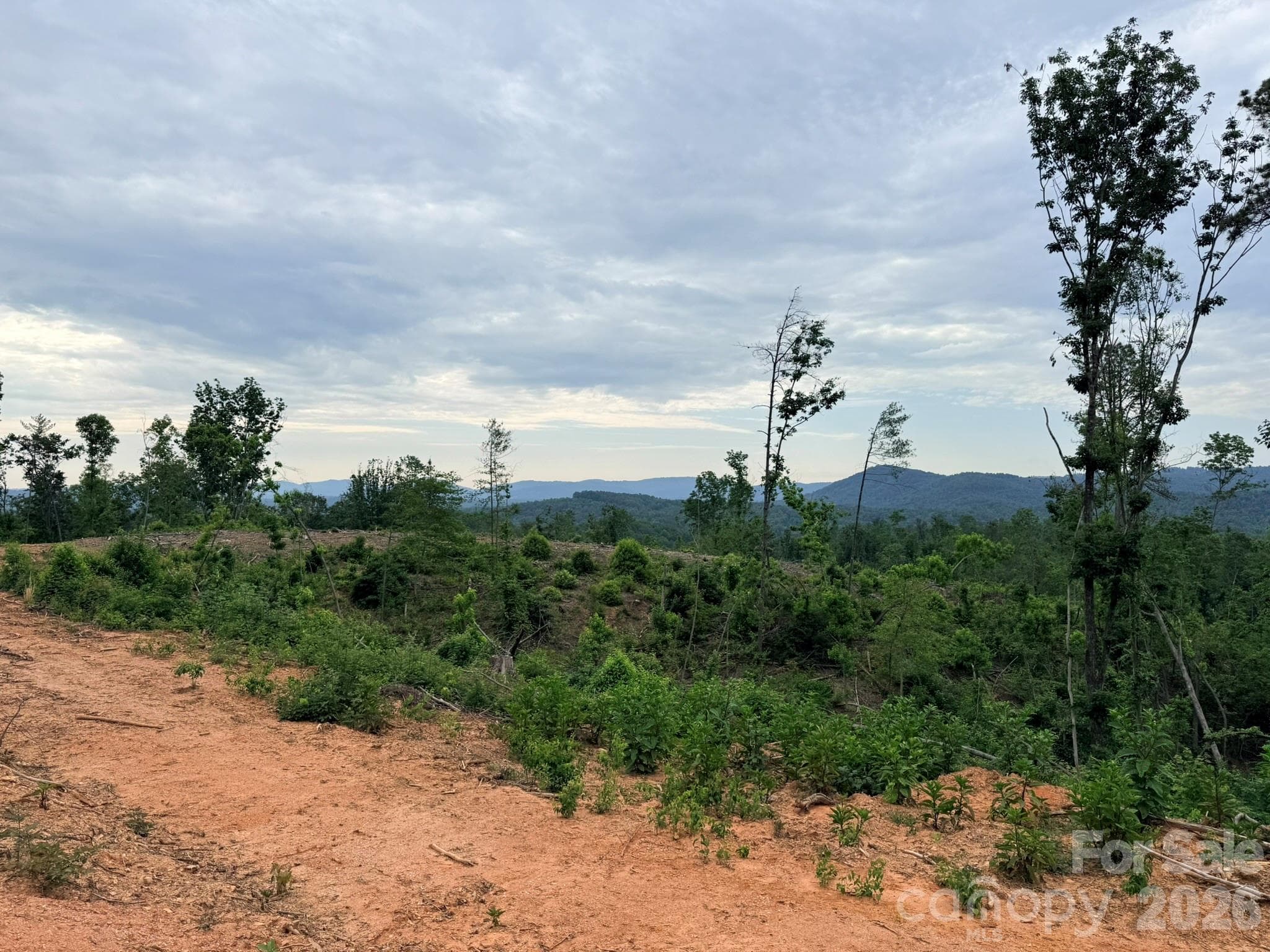 Acreage at TBD N Marley Ford Road, Ferguson, photo 12 of 26