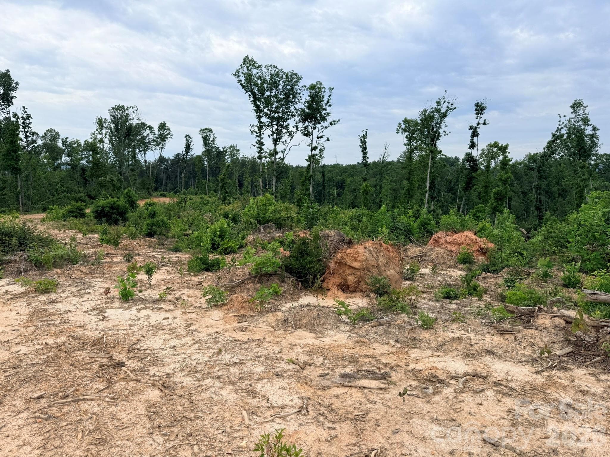 Acreage at TBD N Marley Ford Road, Ferguson, photo 16 of 26
