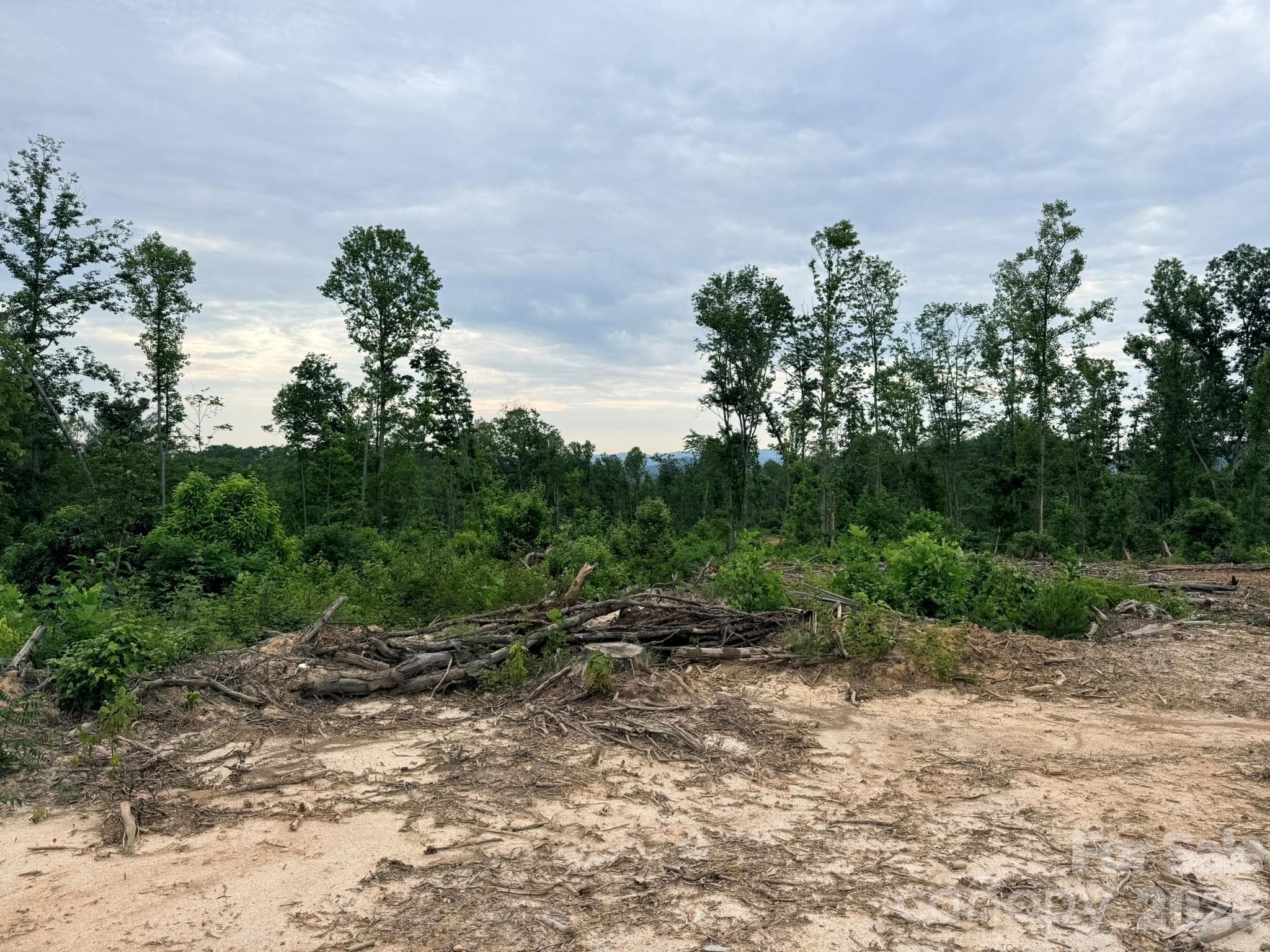 Acreage at TBD N Marley Ford Road, Ferguson, photo 17 of 26