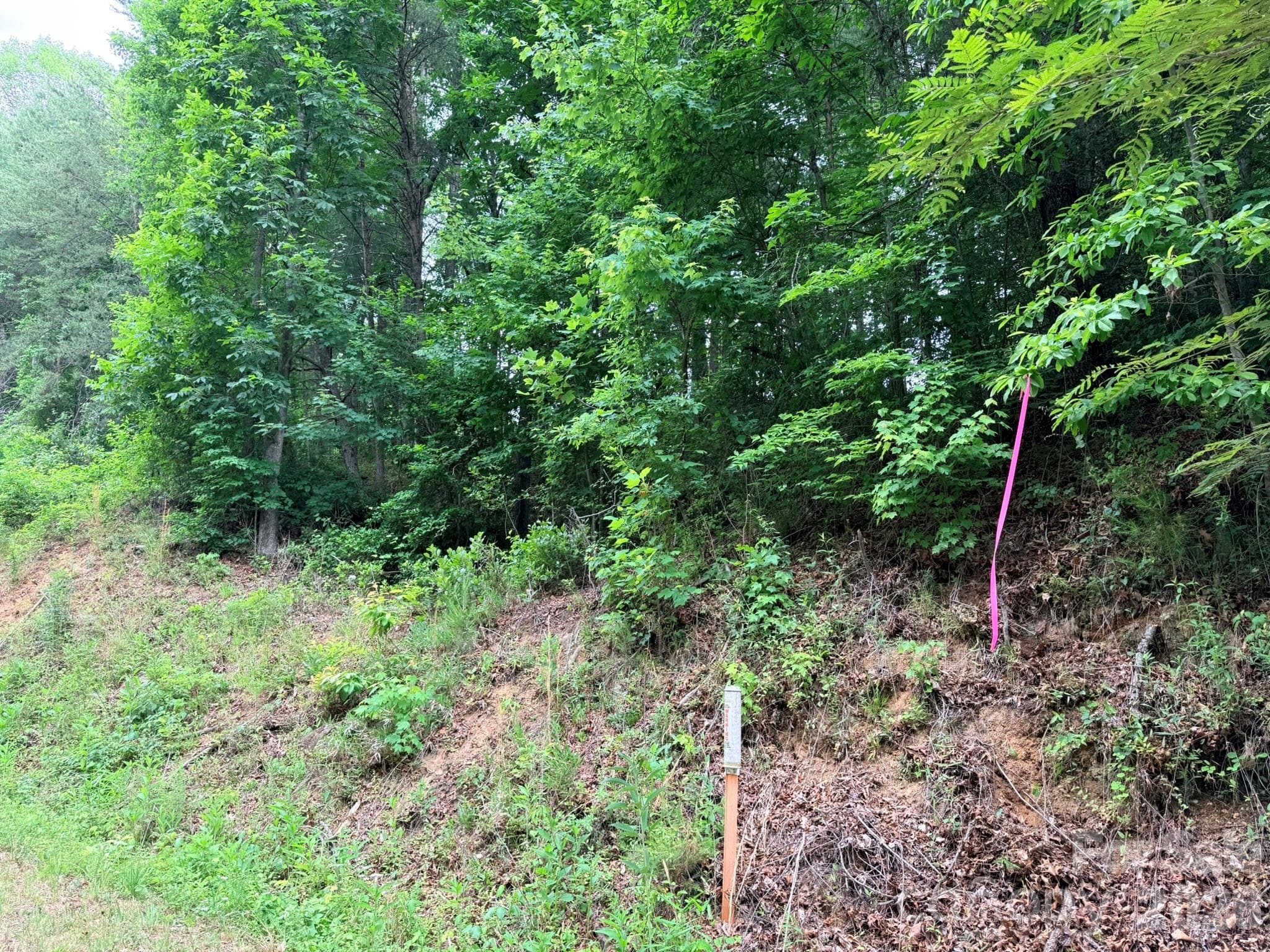 Acreage at TBD N Marley Ford Road, Ferguson, photo 23 of 26