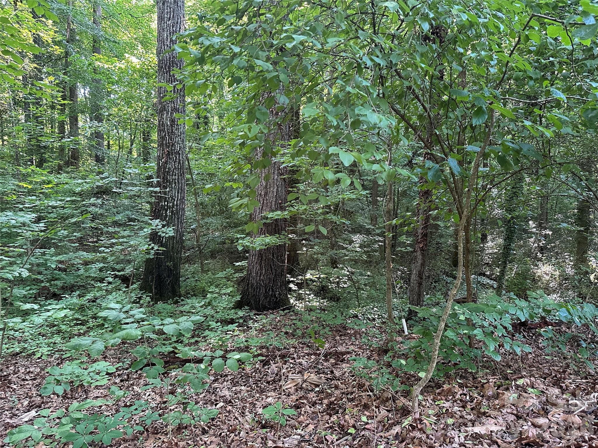 Lot at 0 Briarcliff Road, Rockwell, photo 16 of 25