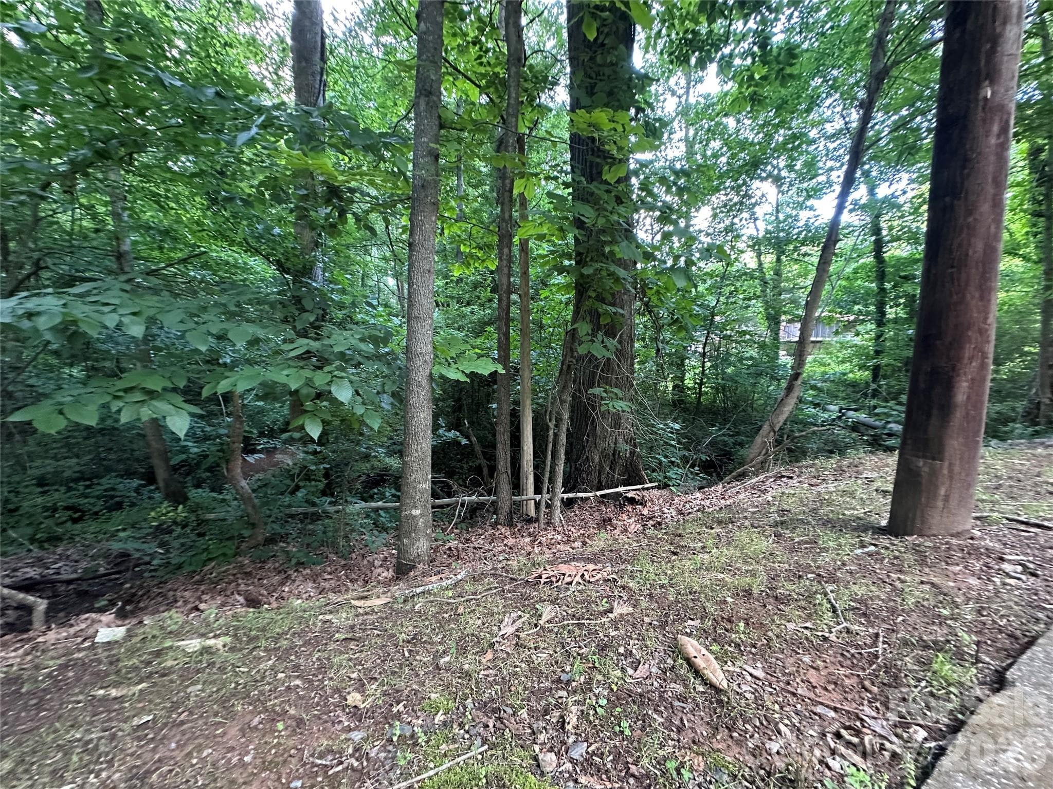 Lot at 0 Briarcliff Road, Rockwell, photo 18 of 25