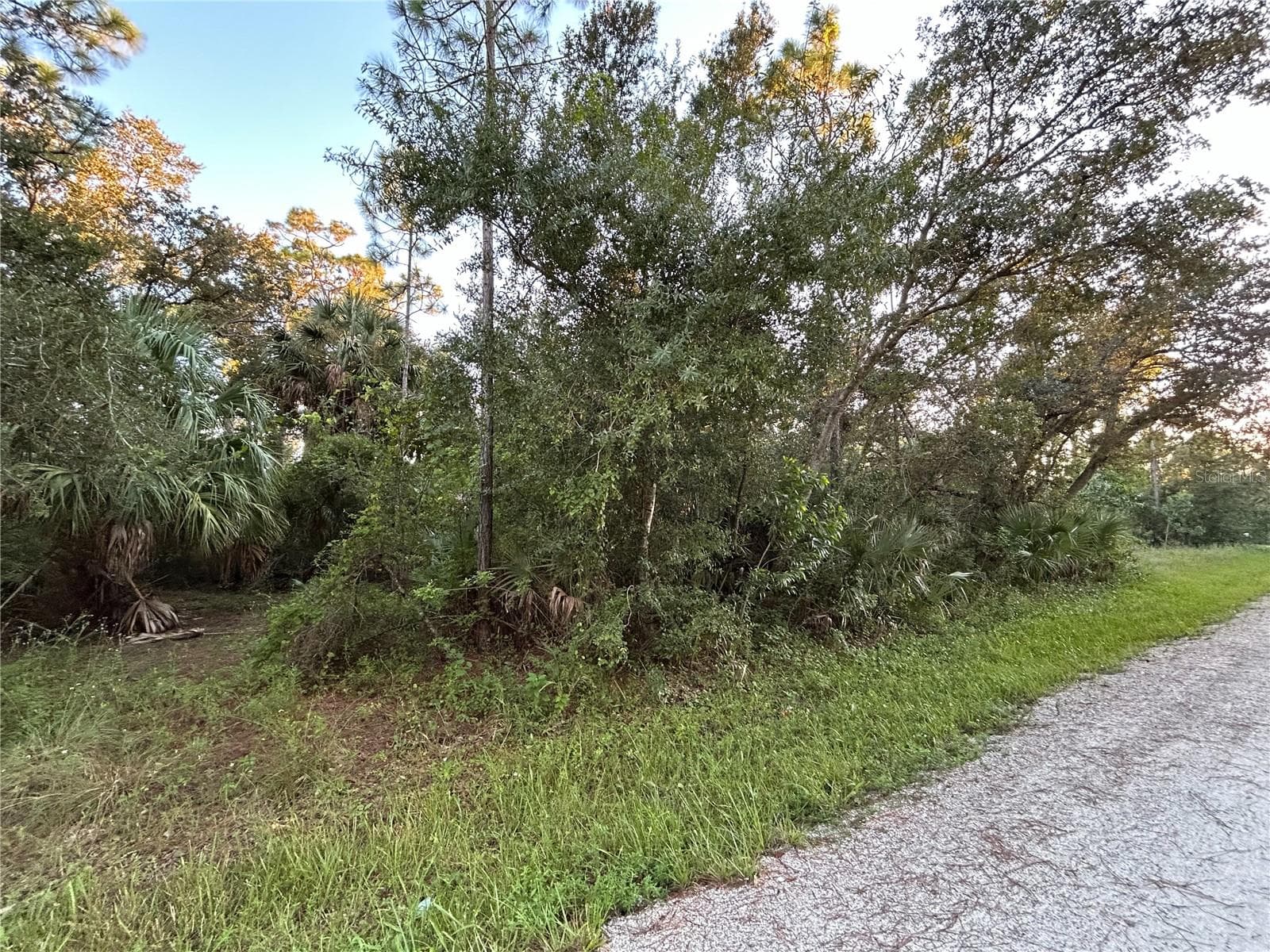 Land at 28153 ALATADENA DR, PUNTA GORDA, photo 5 of 8
