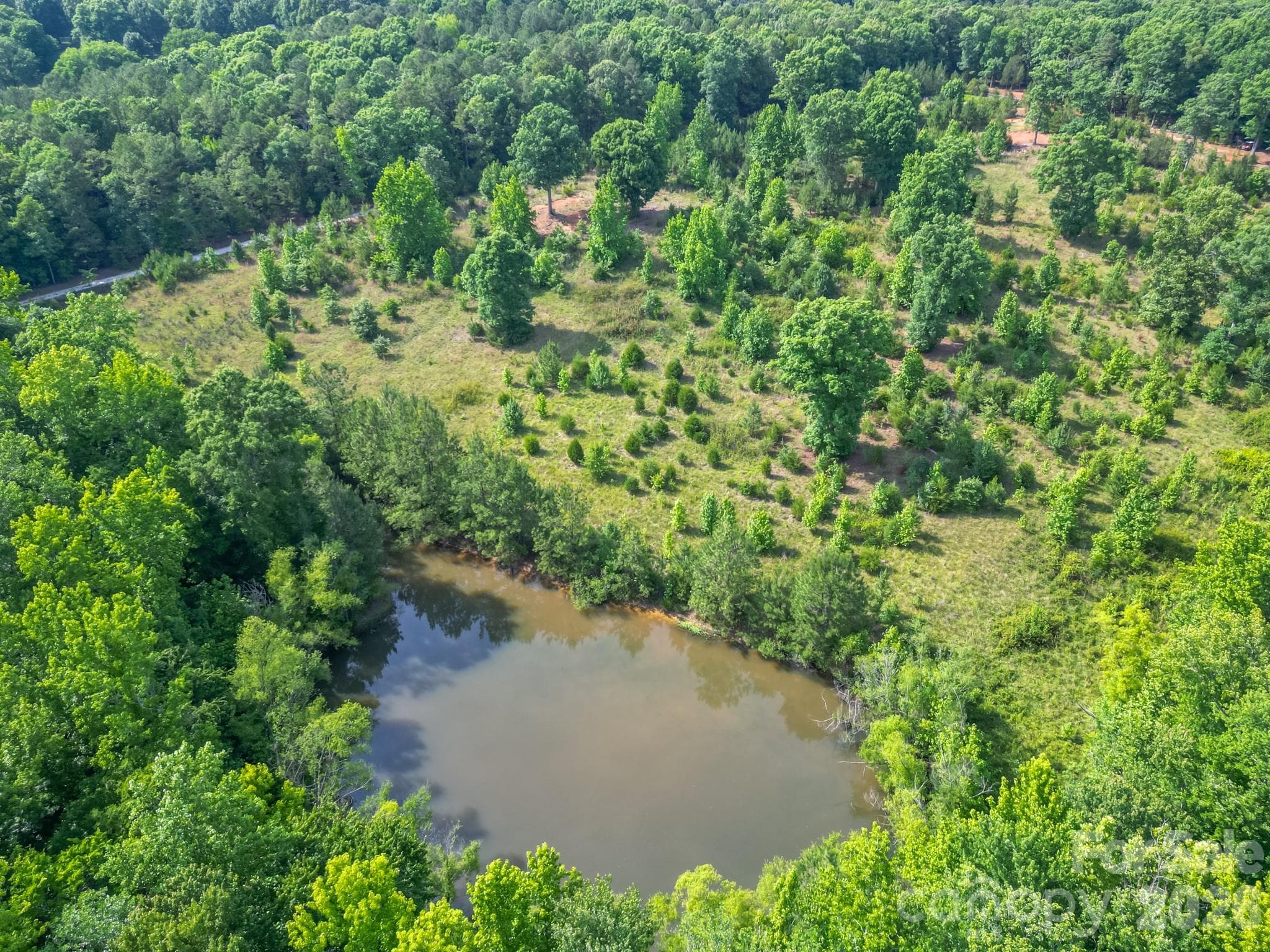 Overview- House pad at the top of the picture, overlooking the pasture and pond - Waxhaw