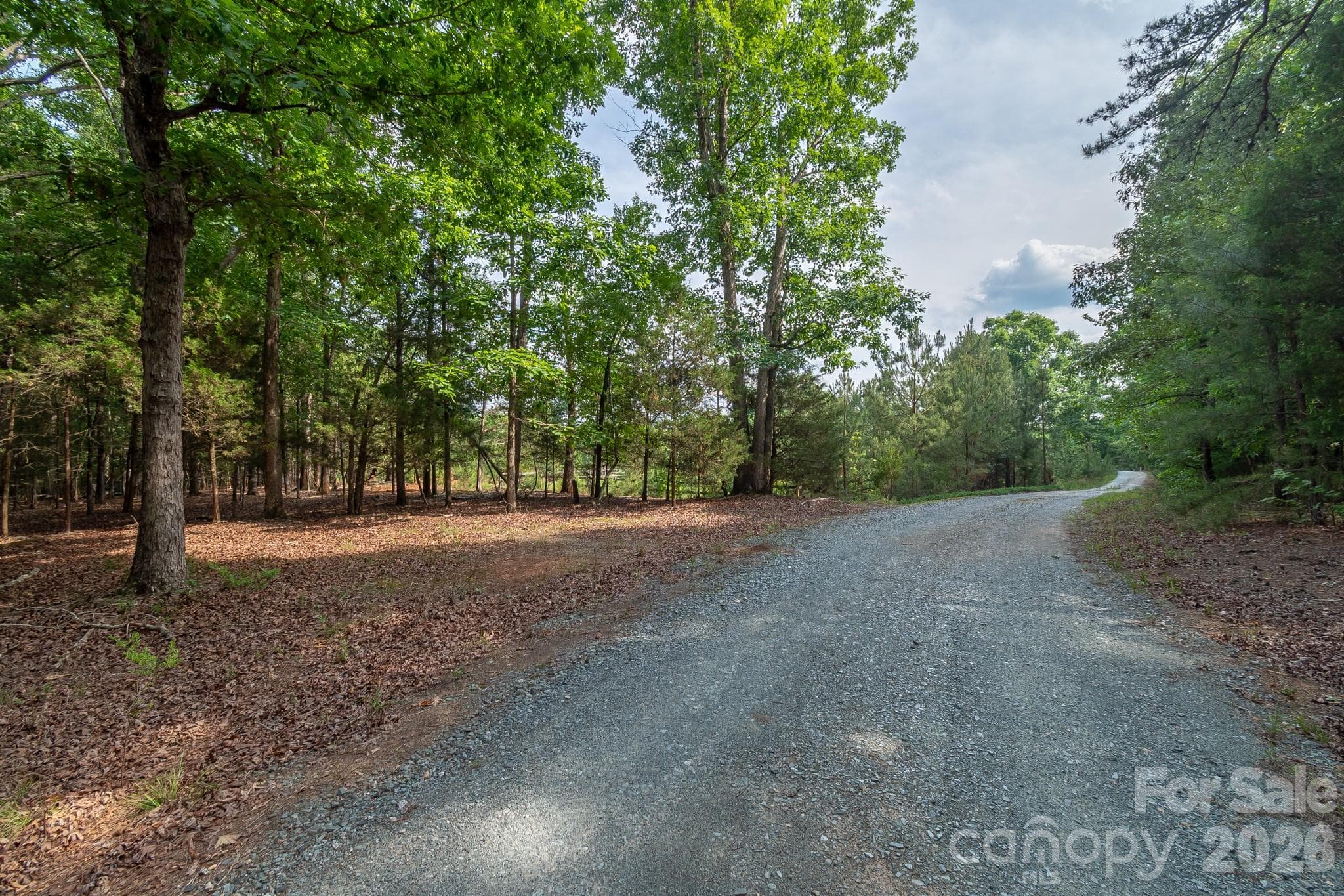 Beautiful driveway leading to the future house pad - Waxhaw
