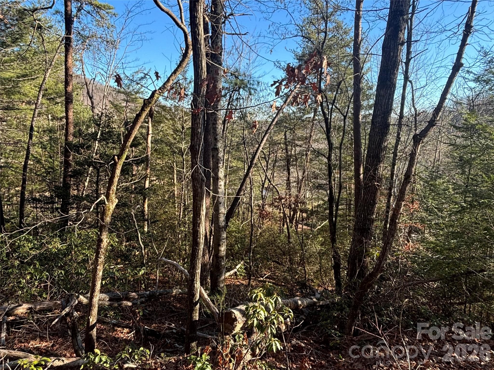 Gently Sloped for Building Home - Lake Lure