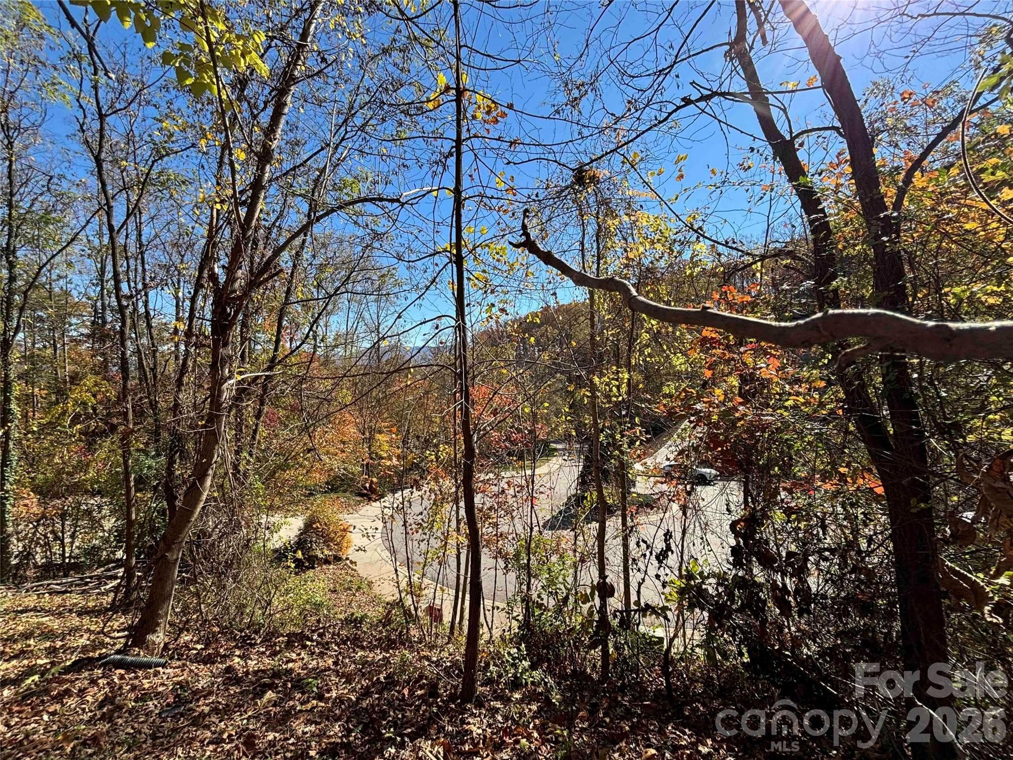 Lot at Asheville, photo 6 of 19