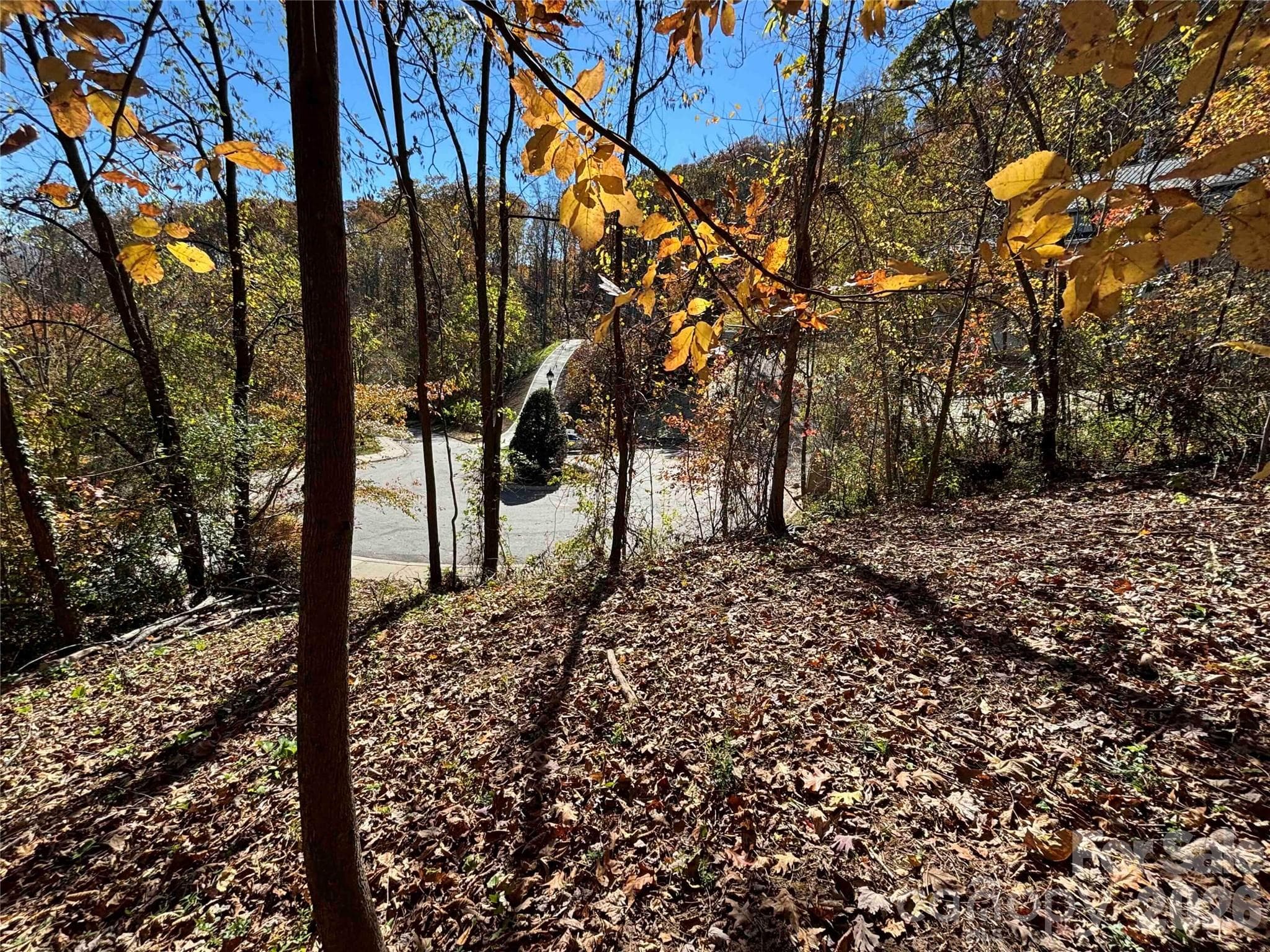 Lot at Asheville, photo 7 of 19