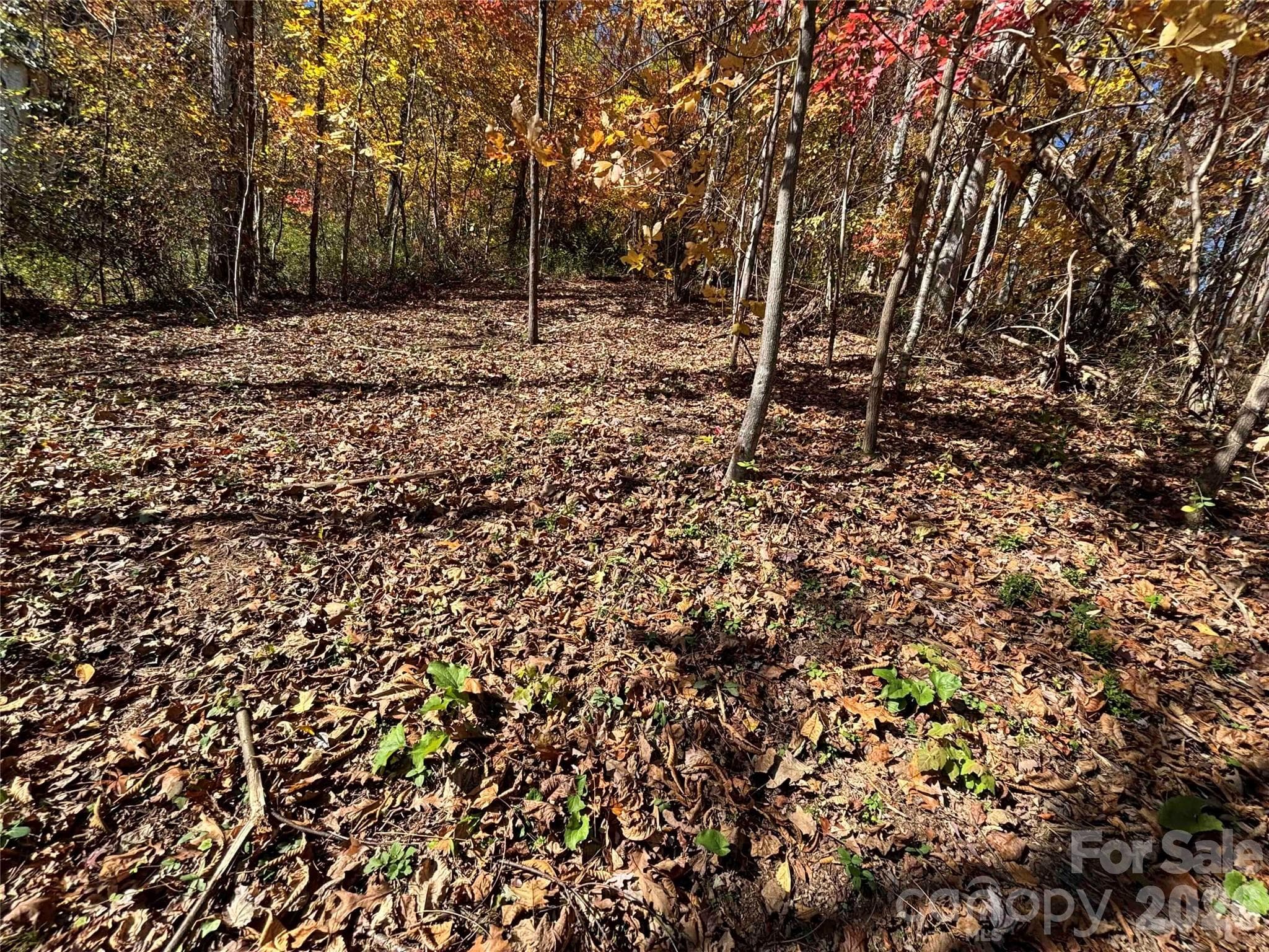 Lot at Asheville, photo 15 of 19