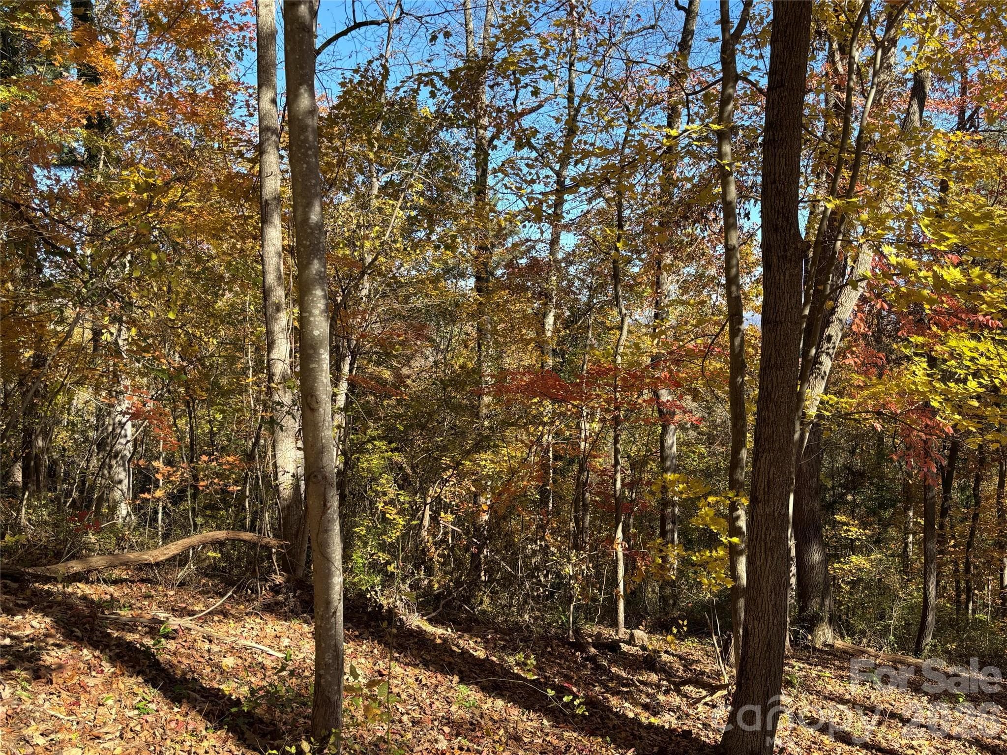 Lot at Asheville, photo 17 of 19