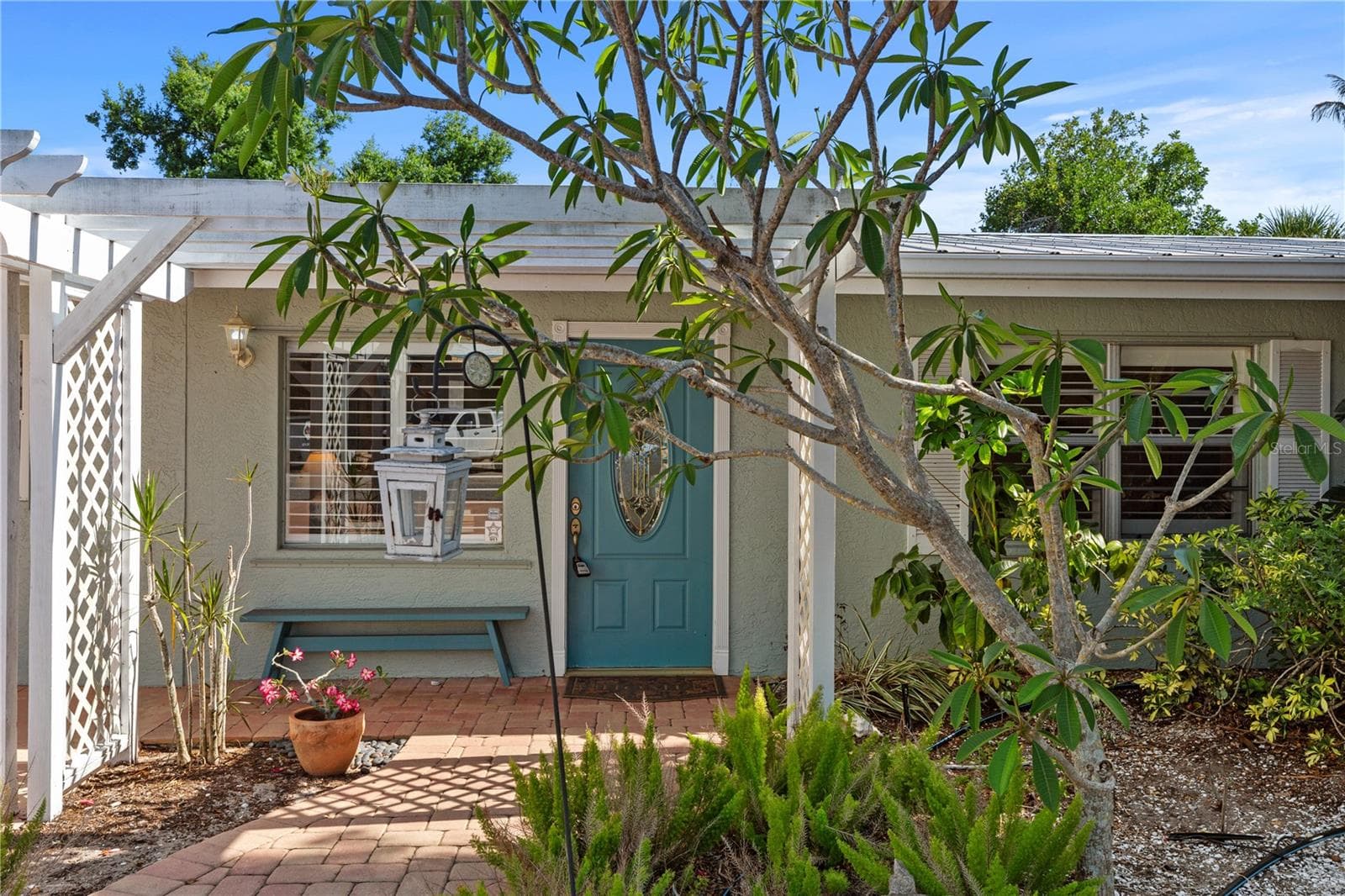 Tropical Landscape 2 large mange trees - 7860 HOLIDAY DR, SARASOTA