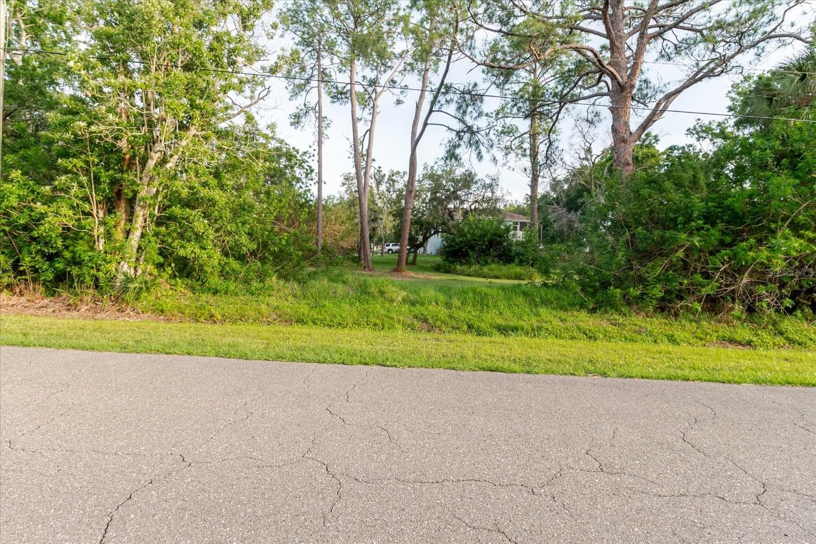 Land at FULTON ST, TARPON SPRINGS, photo 24 of 30
