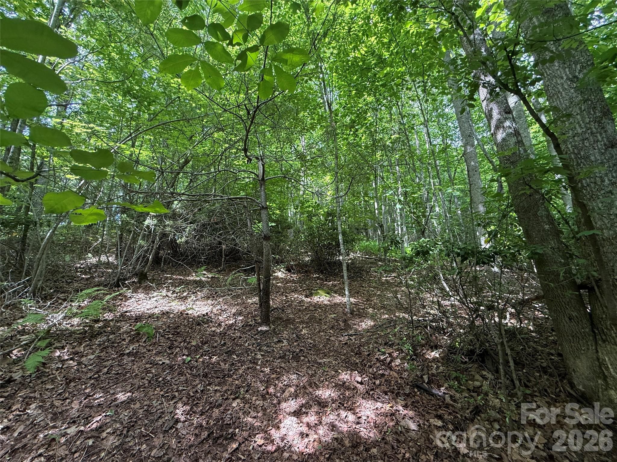 Lot at Hendersonville, photo 4 of 29