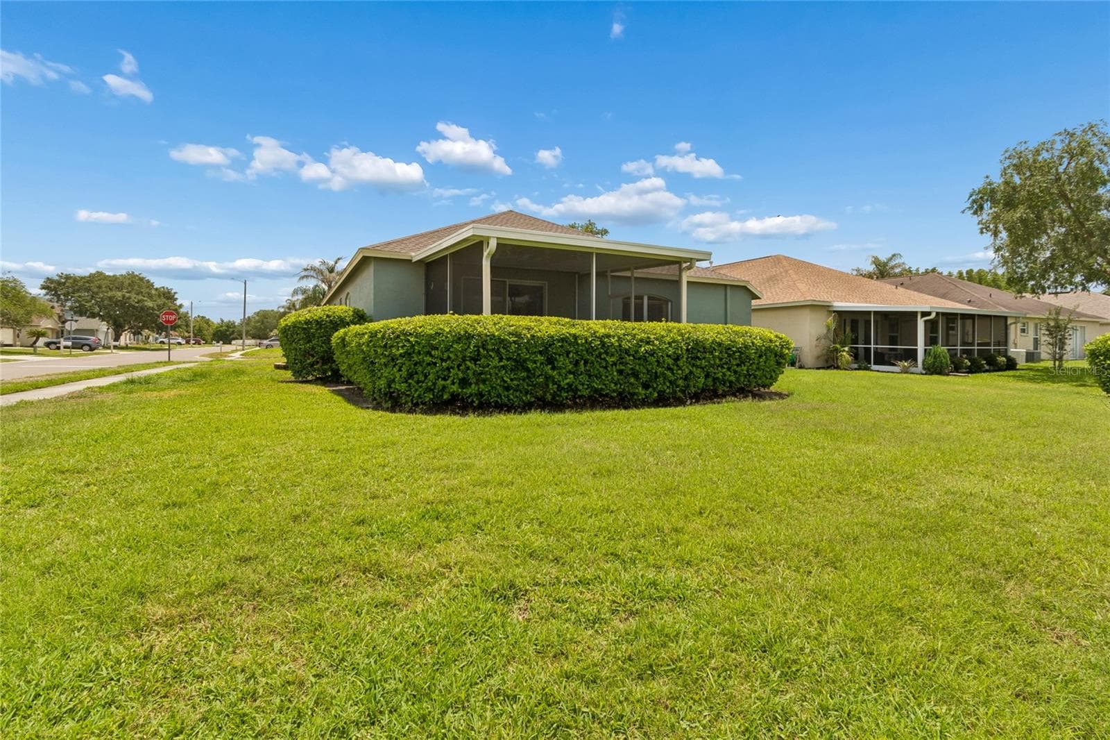 Backyard - 30600 NICKERSON LOOP, WESLEY CHAPEL