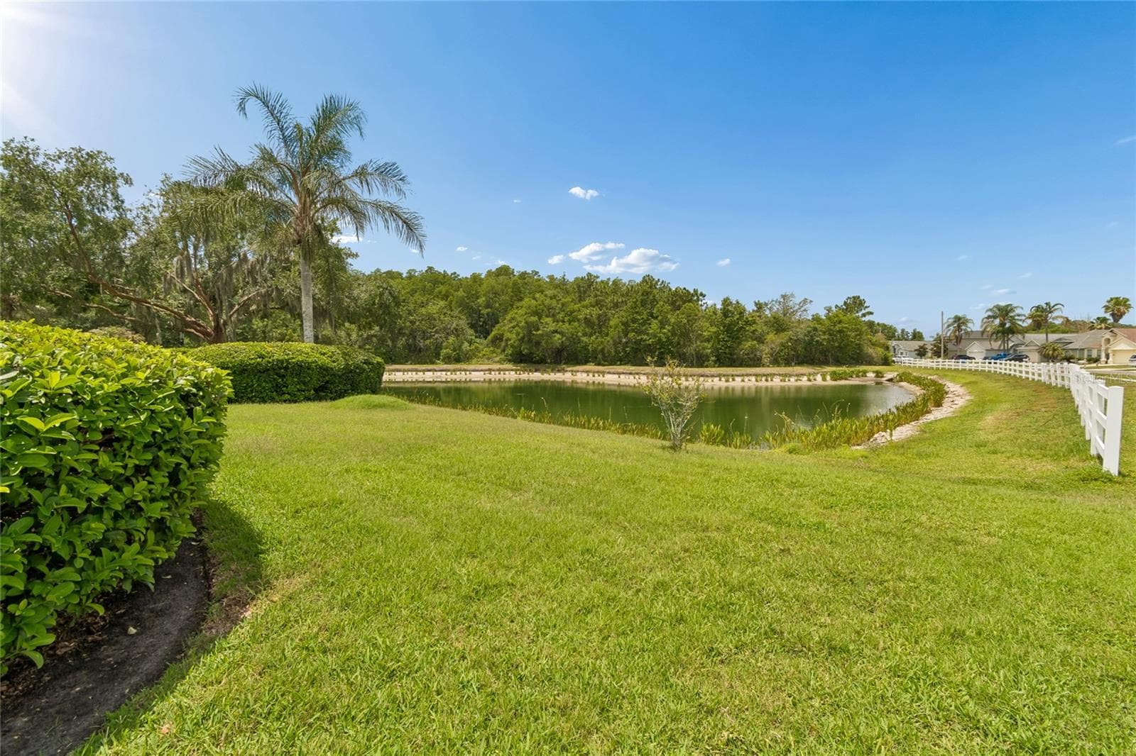 Pond Views - 30600 NICKERSON LOOP, WESLEY CHAPEL