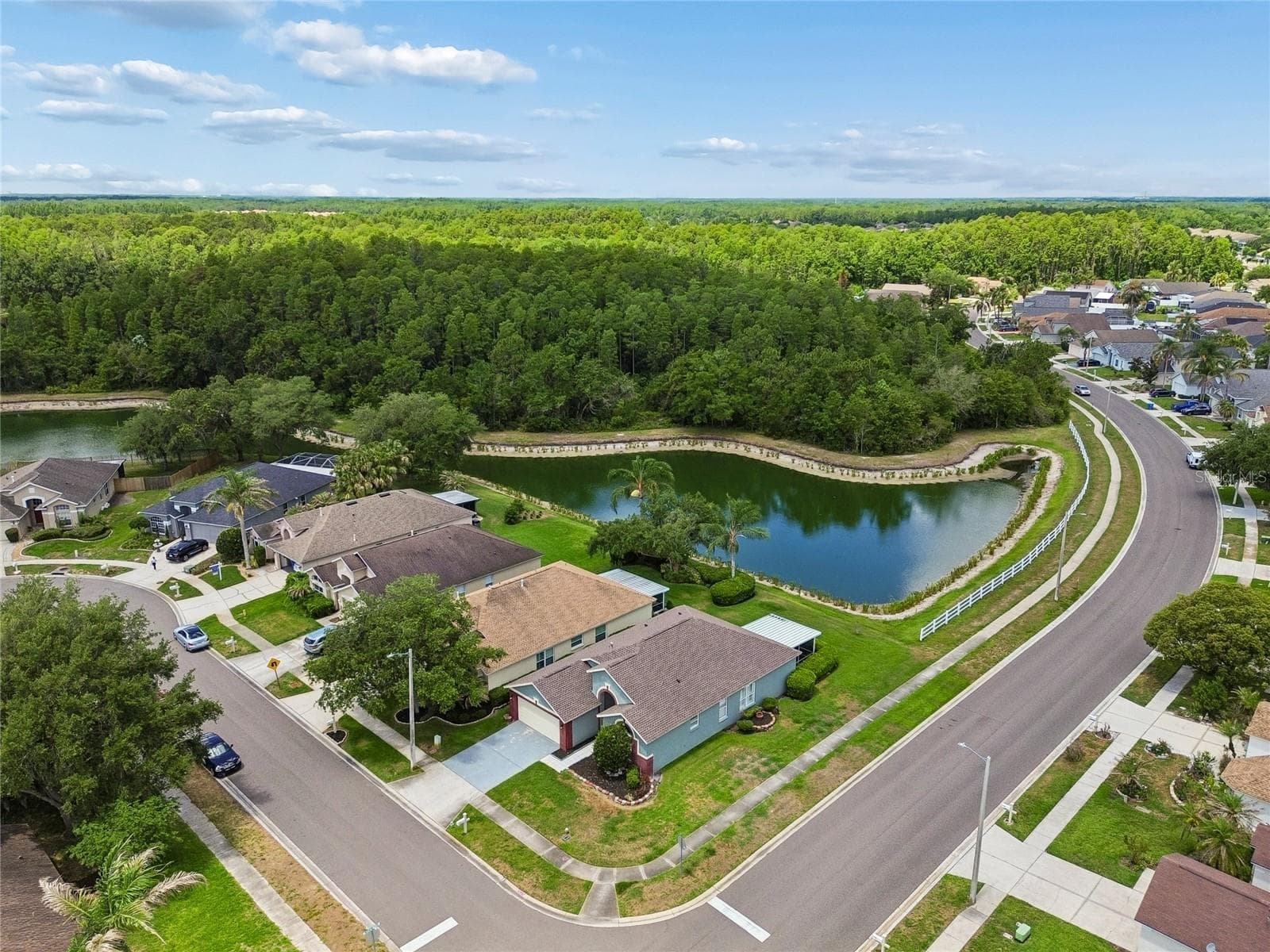 Aerial Corner with pond views - 30600 NICKERSON LOOP, WESLEY CHAPEL