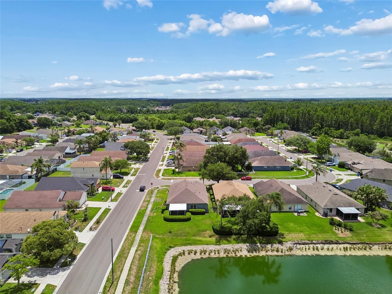 Aerial - 30600 NICKERSON LOOP, WESLEY CHAPEL