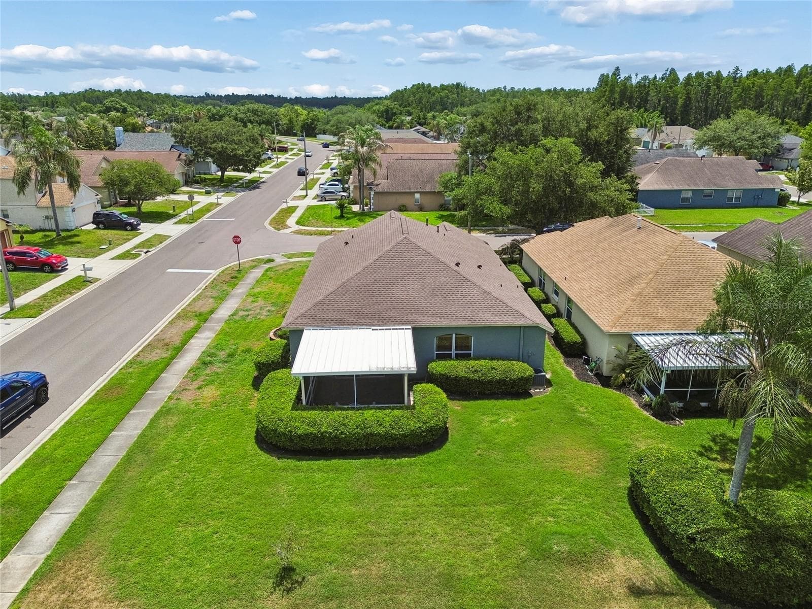 Aerial Backyard - 30600 NICKERSON LOOP, WESLEY CHAPEL