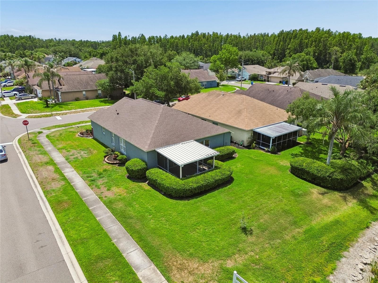 Aerial Backyard - 30600 NICKERSON LOOP, WESLEY CHAPEL