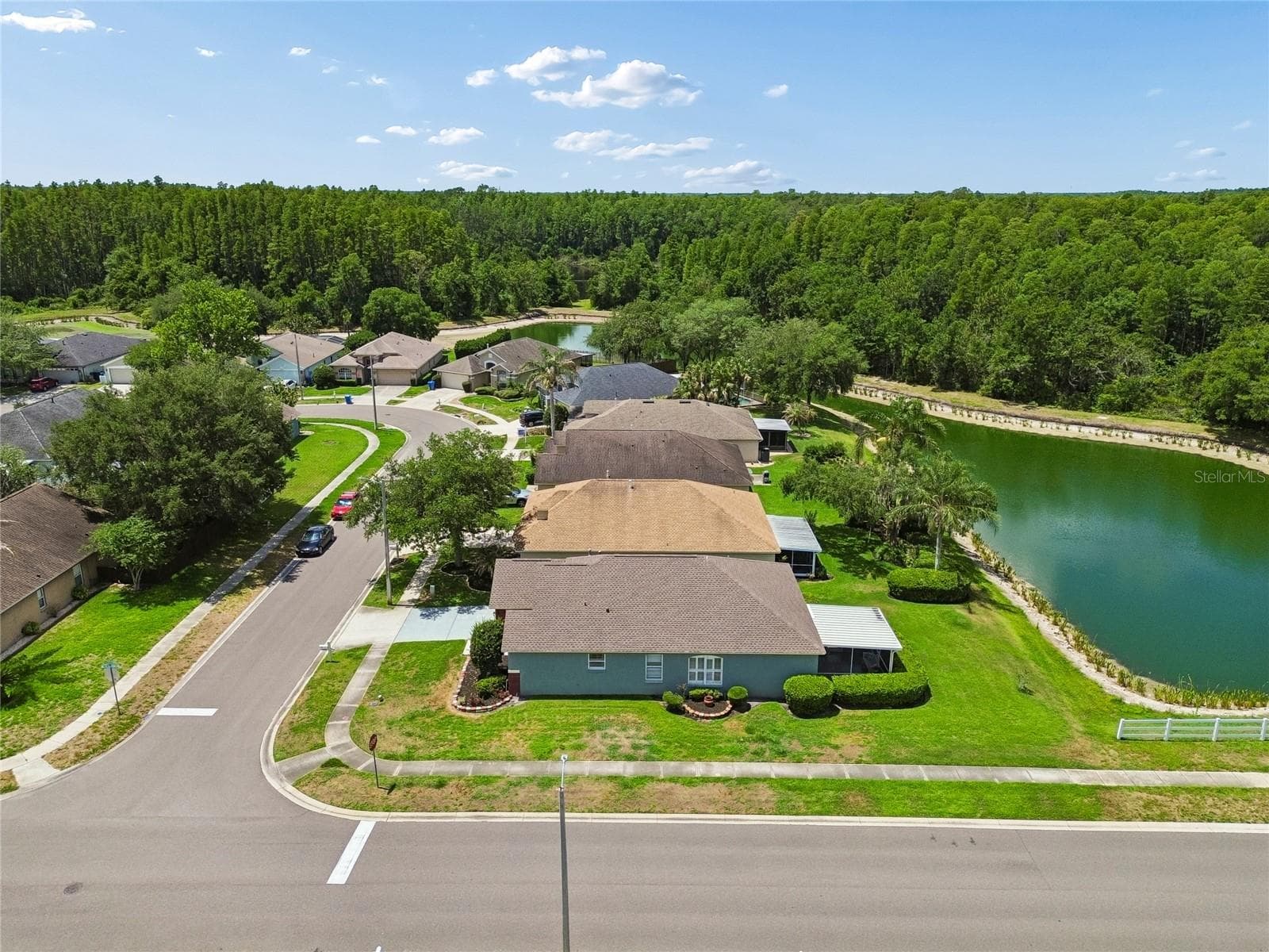 Aerial - 30600 NICKERSON LOOP, WESLEY CHAPEL