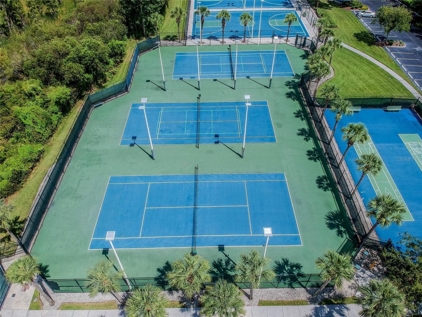Sports Courts - 30600 NICKERSON LOOP, WESLEY CHAPEL
