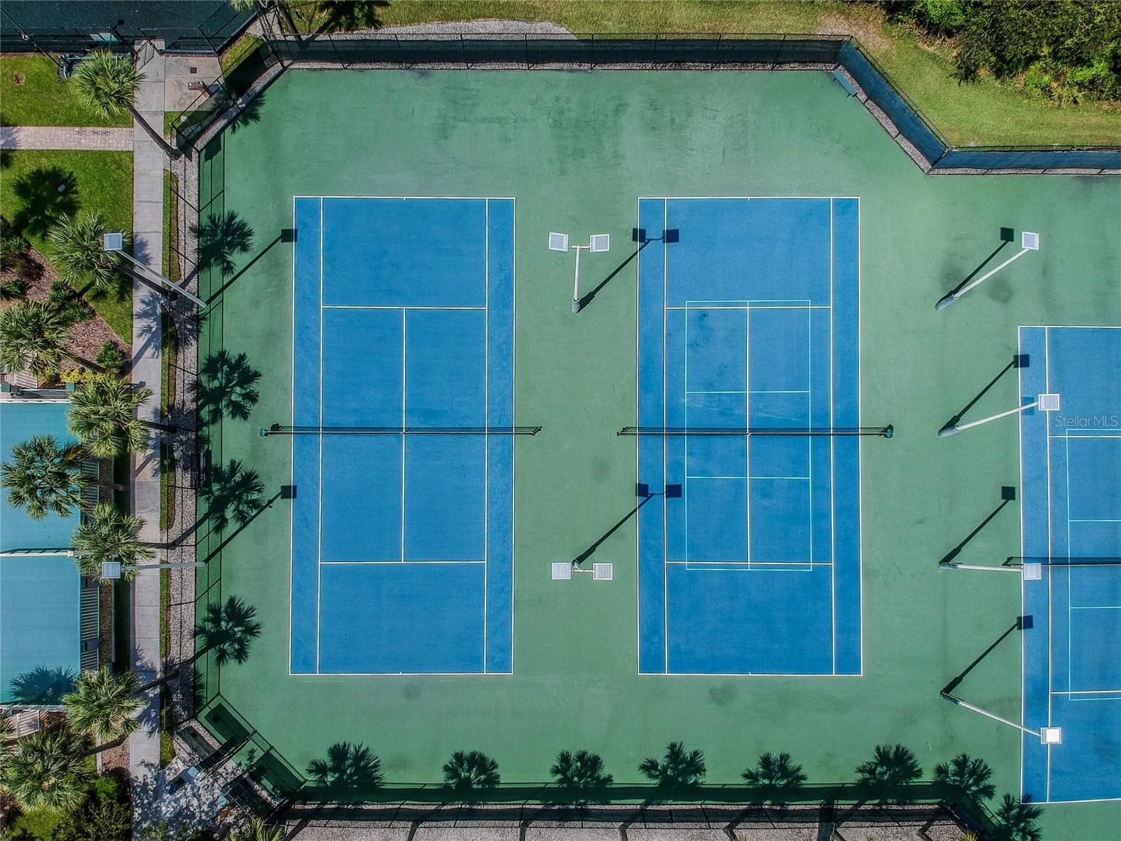 Sports Courts - 30600 NICKERSON LOOP, WESLEY CHAPEL