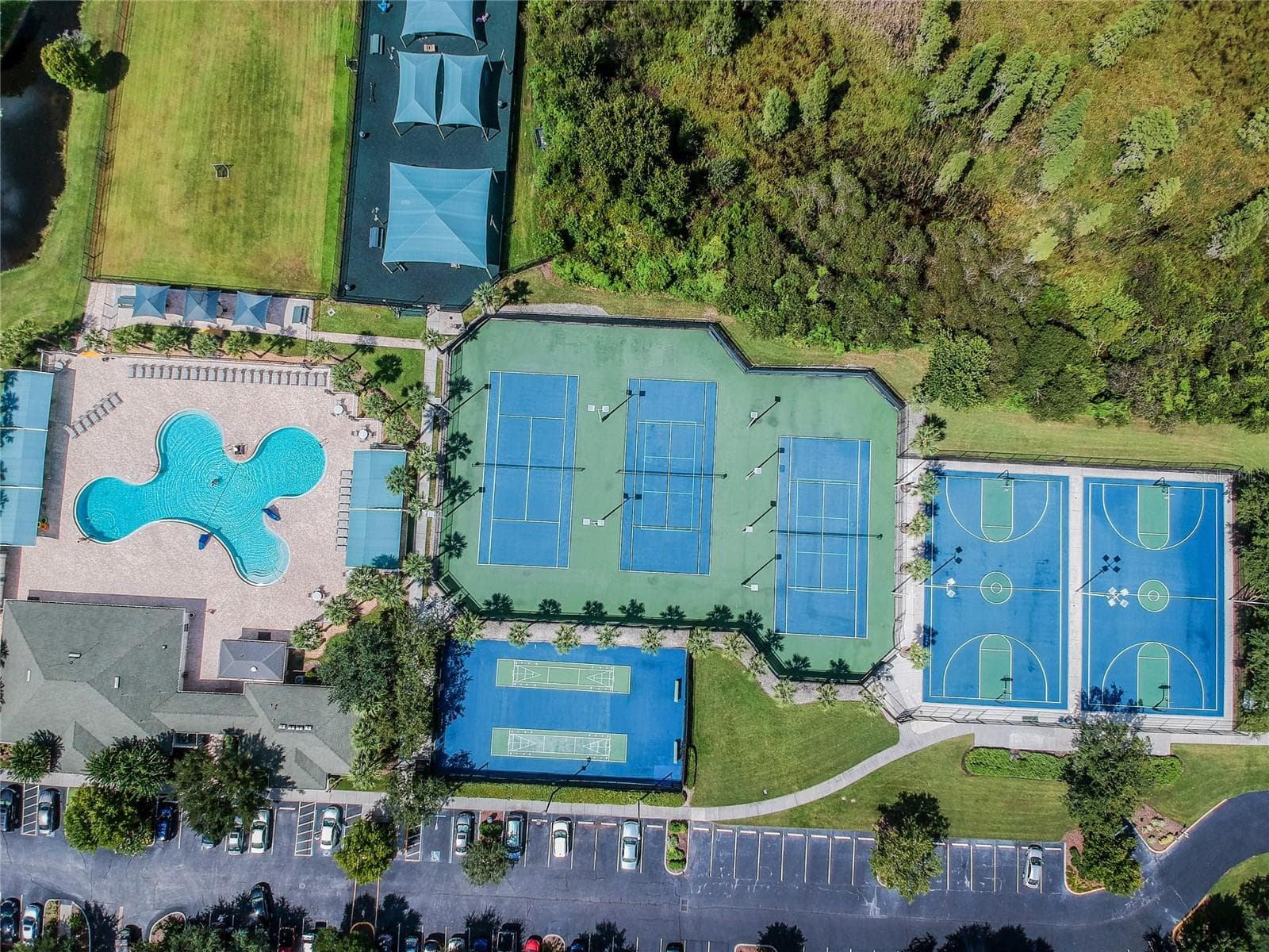 Sports Courts - 30600 NICKERSON LOOP, WESLEY CHAPEL