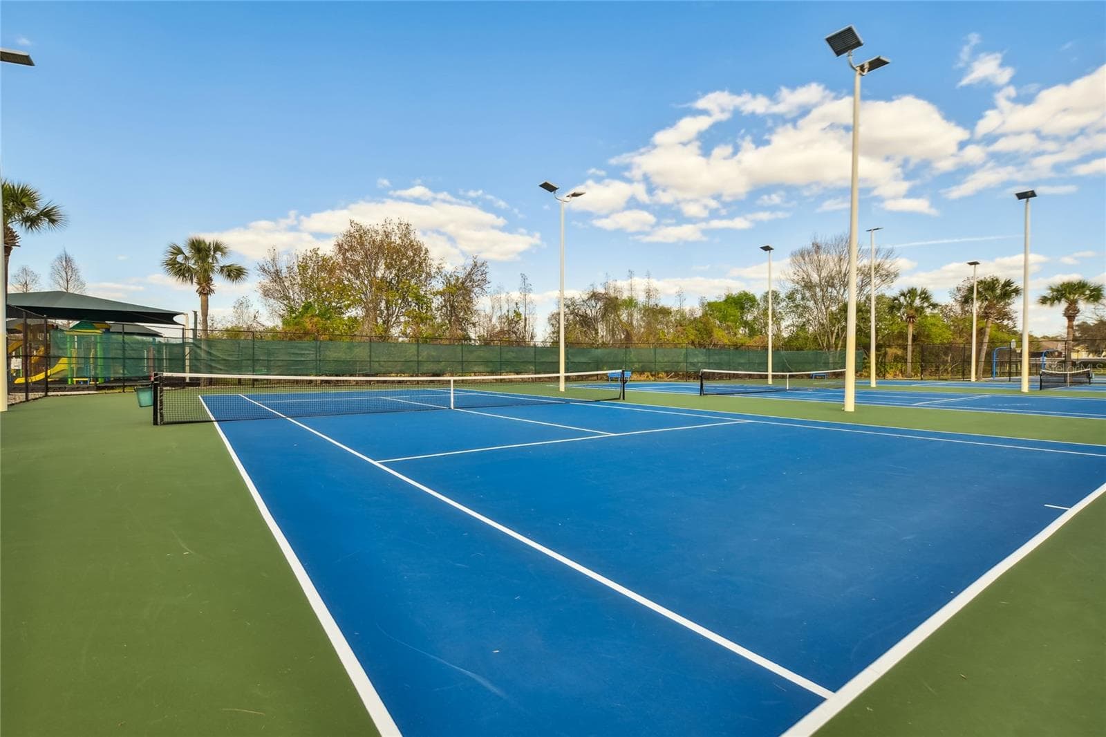 Sports Courts - 30600 NICKERSON LOOP, WESLEY CHAPEL