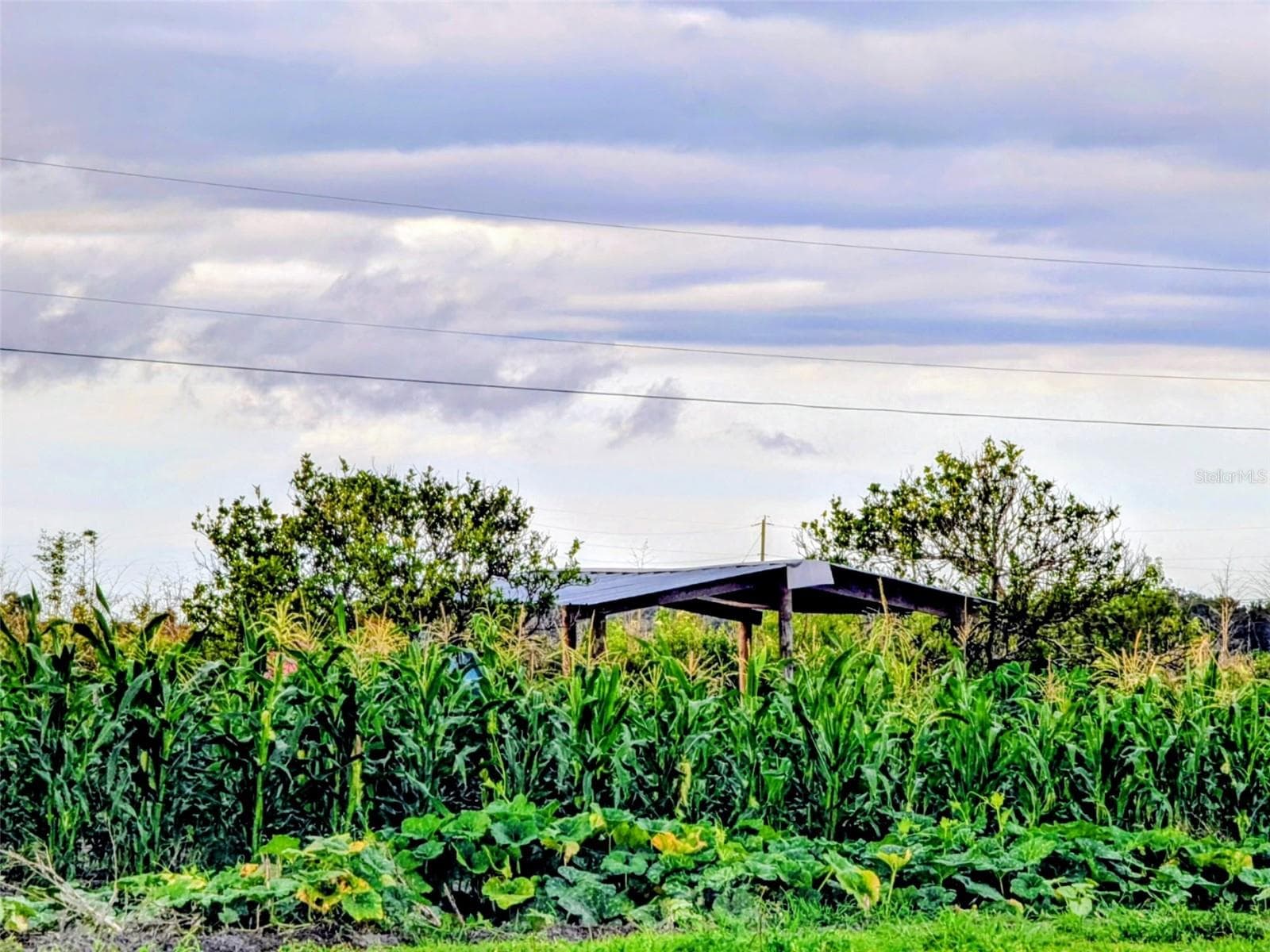 0 MINERAL BRANCH RD