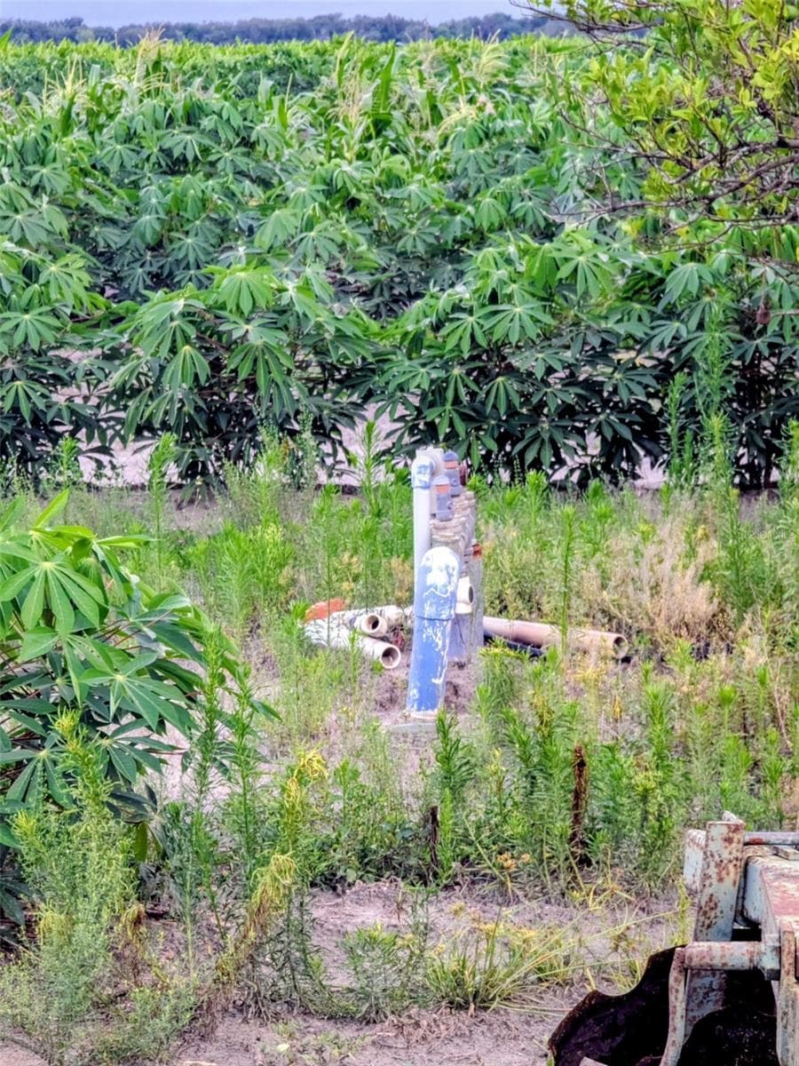 Land at 0 MINERAL BRANCH RD, ZOLFO SPRINGS, photo 8 of 15